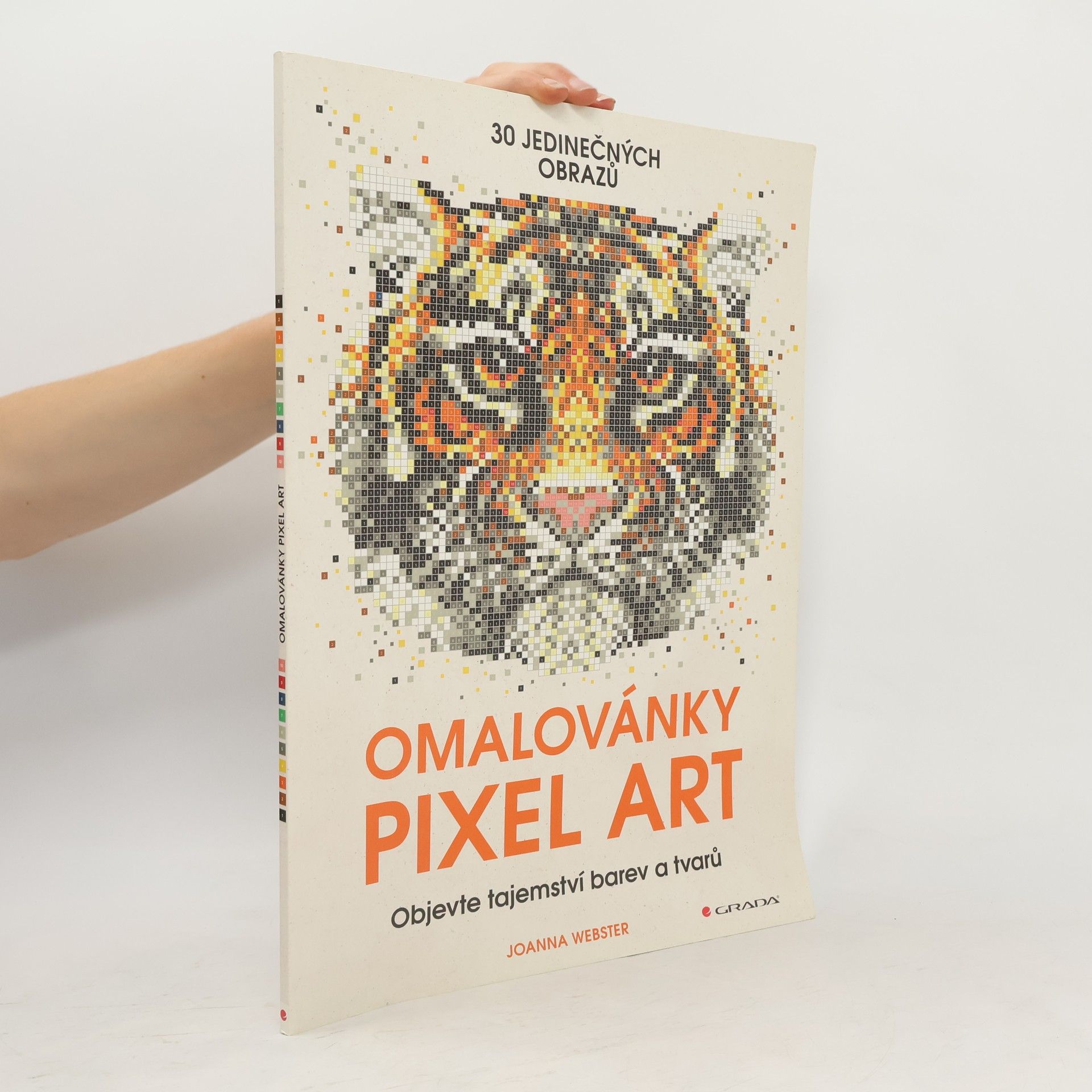Joanna Webster Omalovánky Pixel Art
