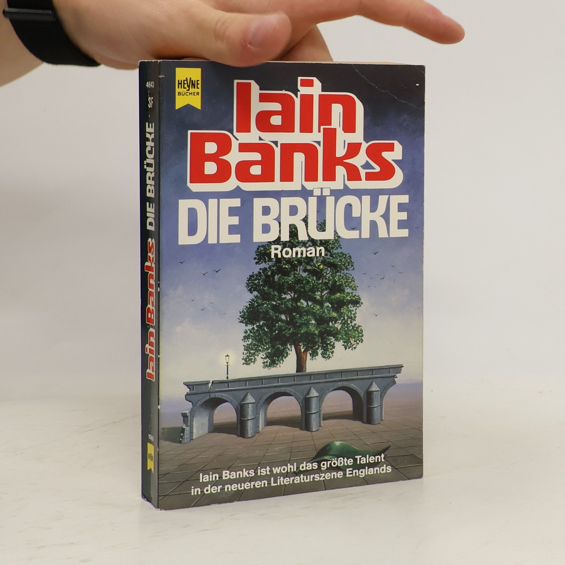 Iain M. Banks Die Brücke
