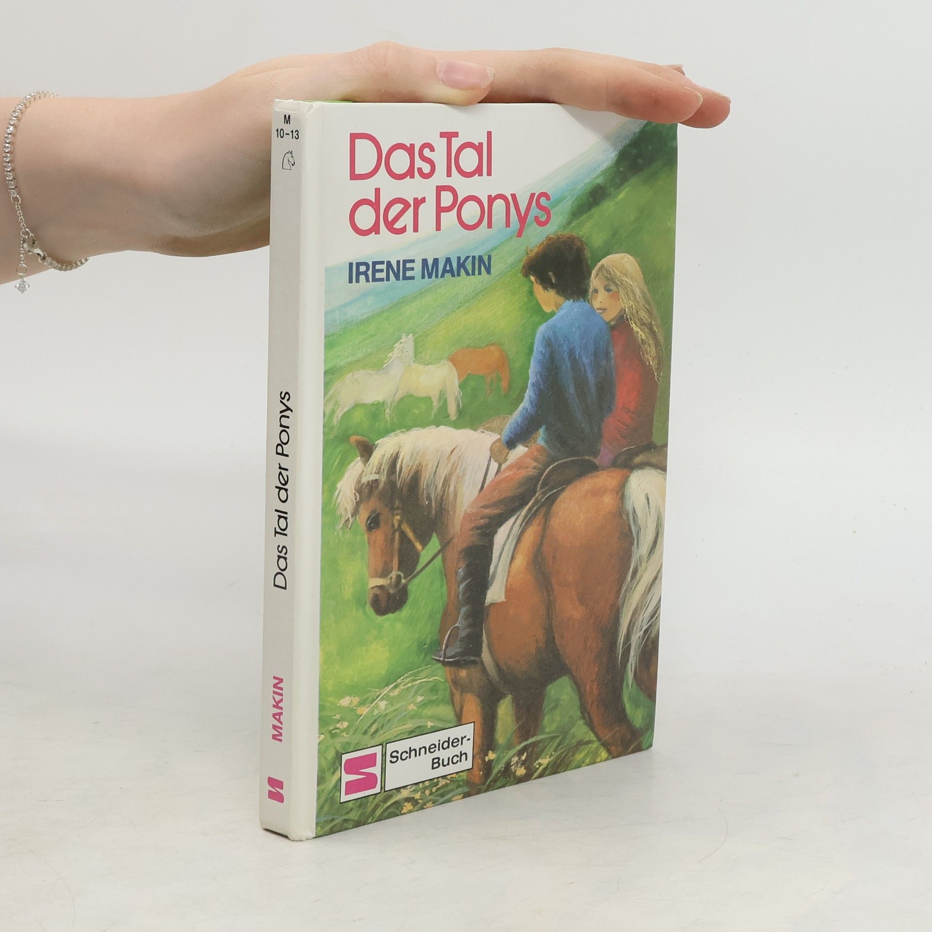 Irene Makin Das Tal der Ponys