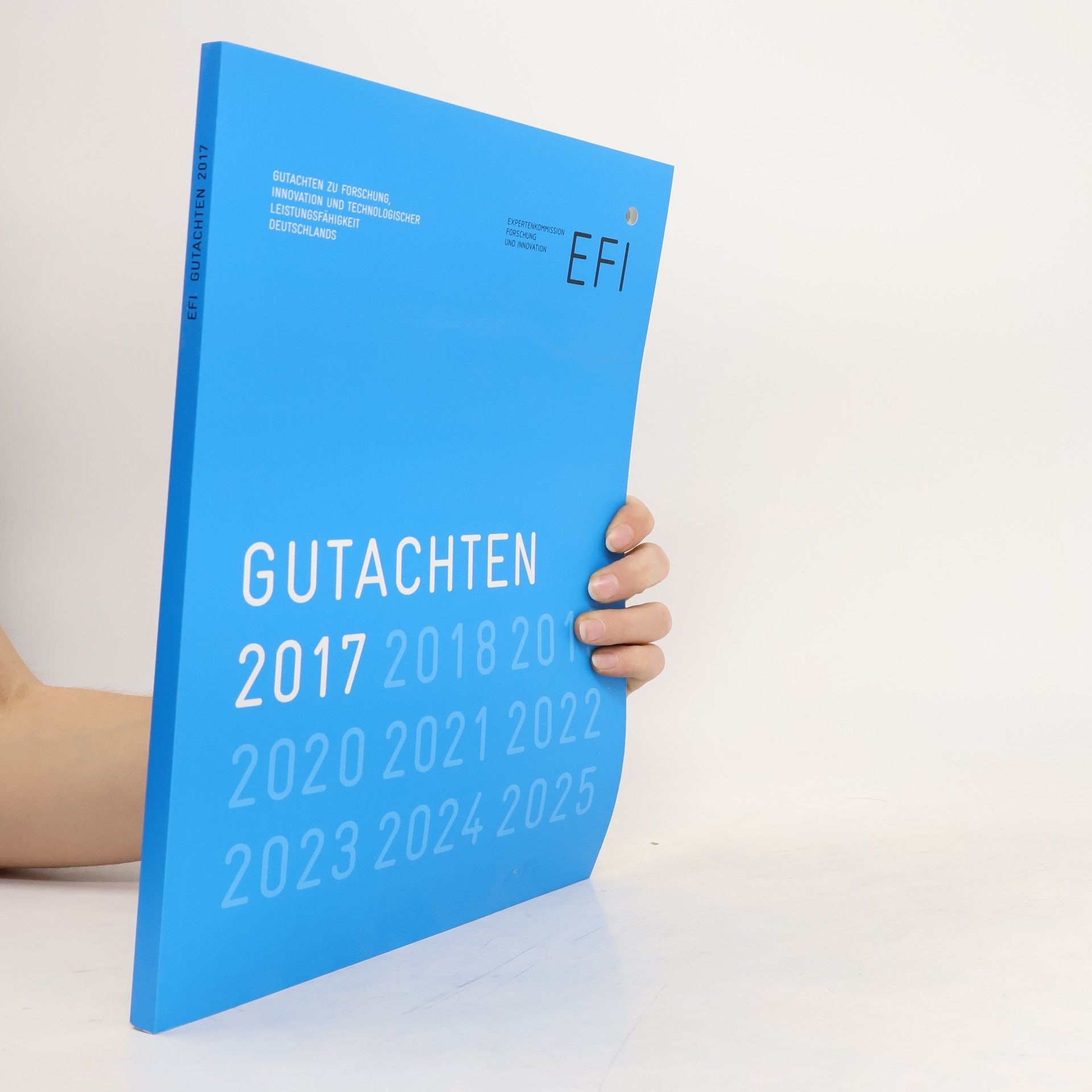 Autorenkollektiv Gutachten 2017