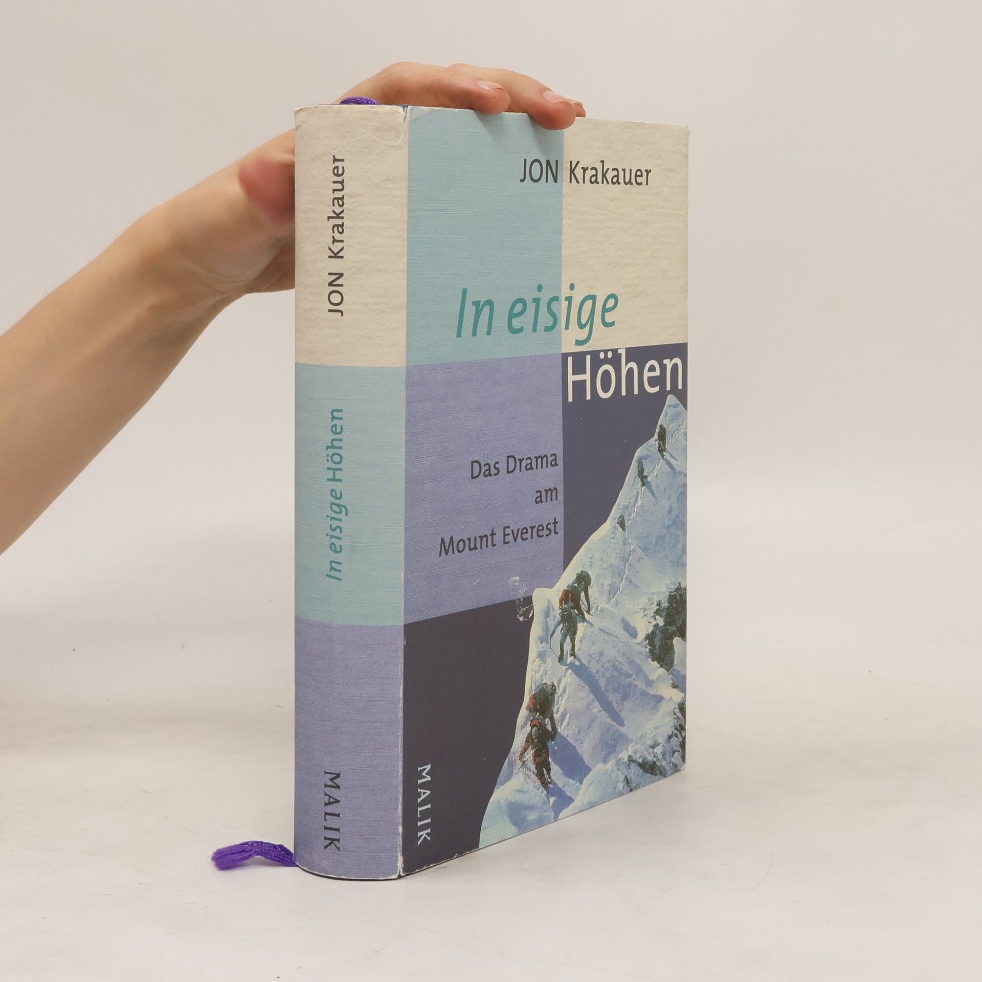 Jon Krakauer In eisige Höhen