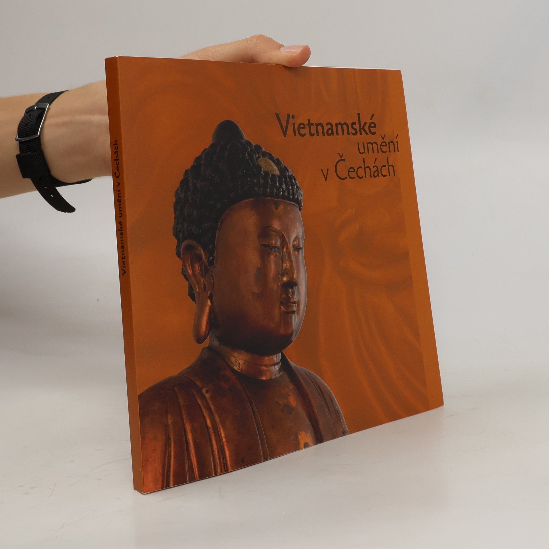 Zdenka Klimtová Vietnamské umění v Čechách
