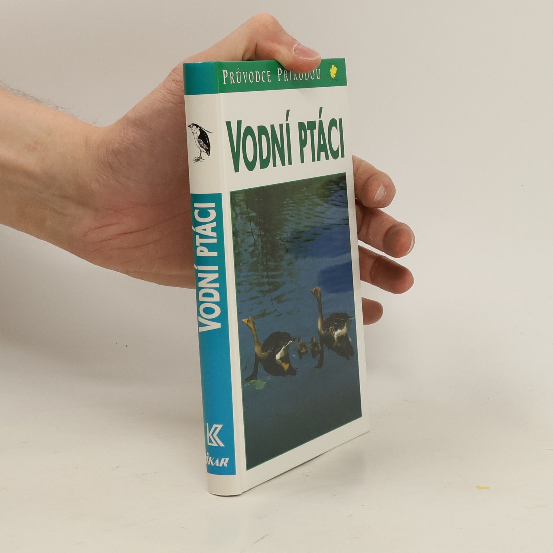 Sauer Frieder Vodní ptáci