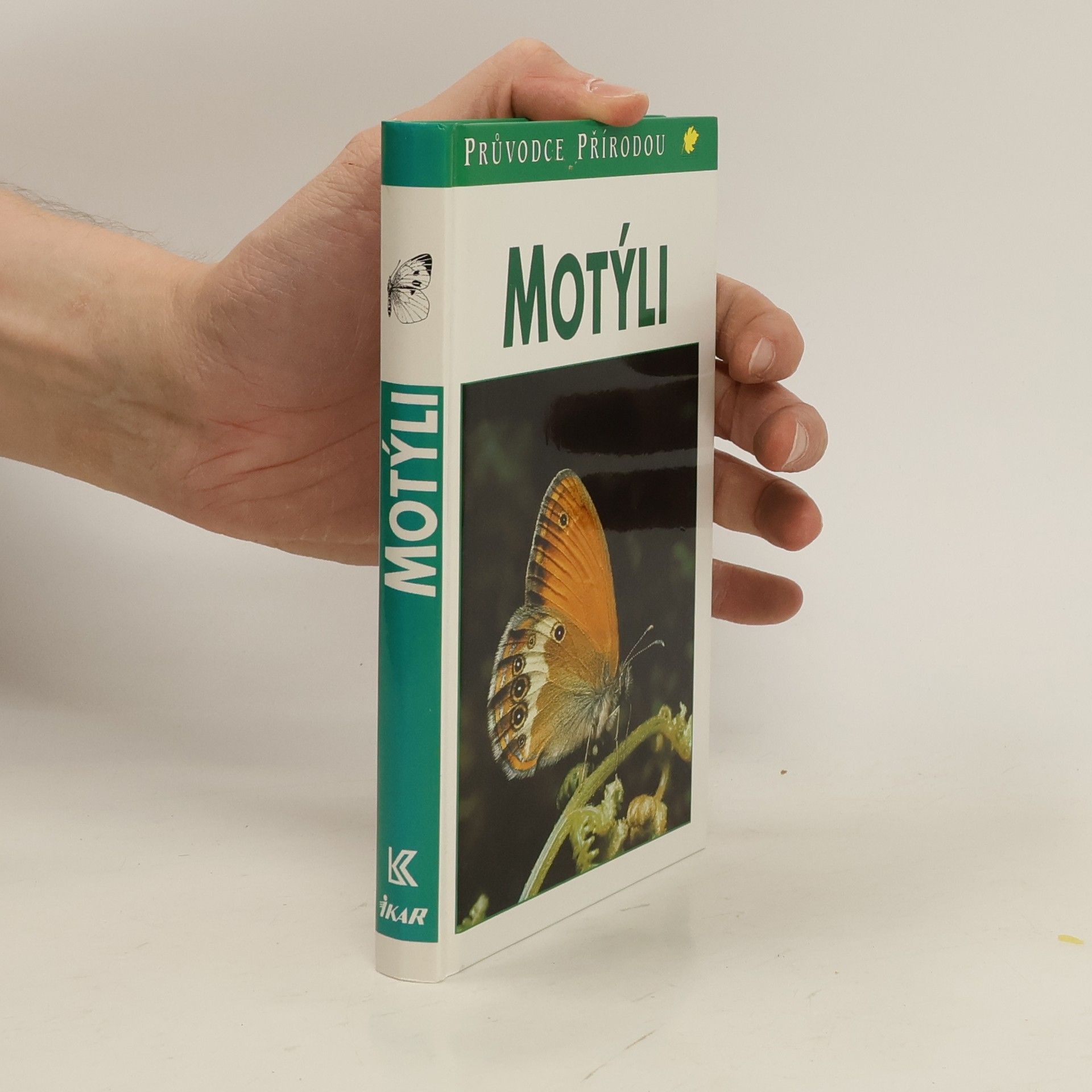 Helgard Reichholf Riehm Motýli