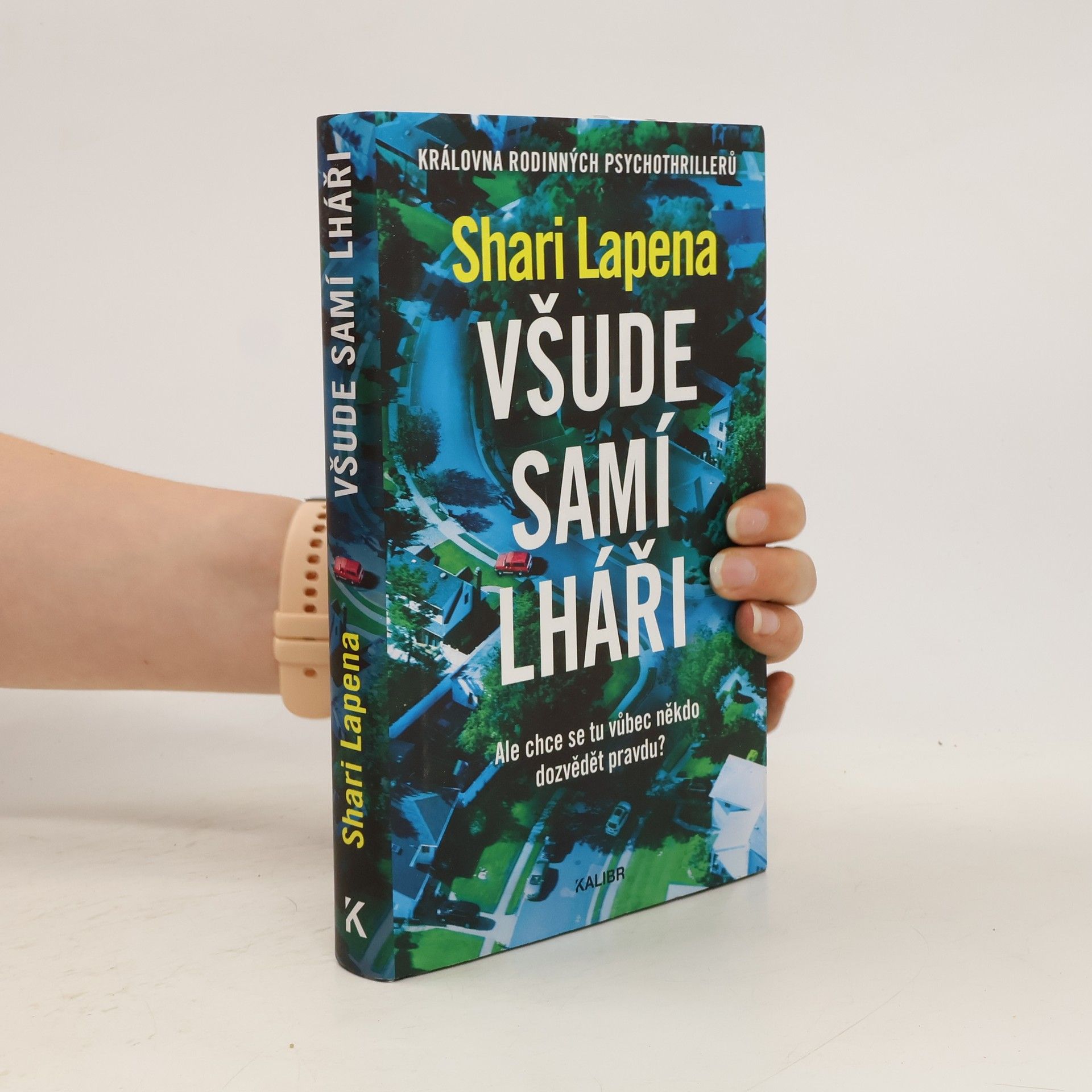 Shari Lapena Všude samí lháři