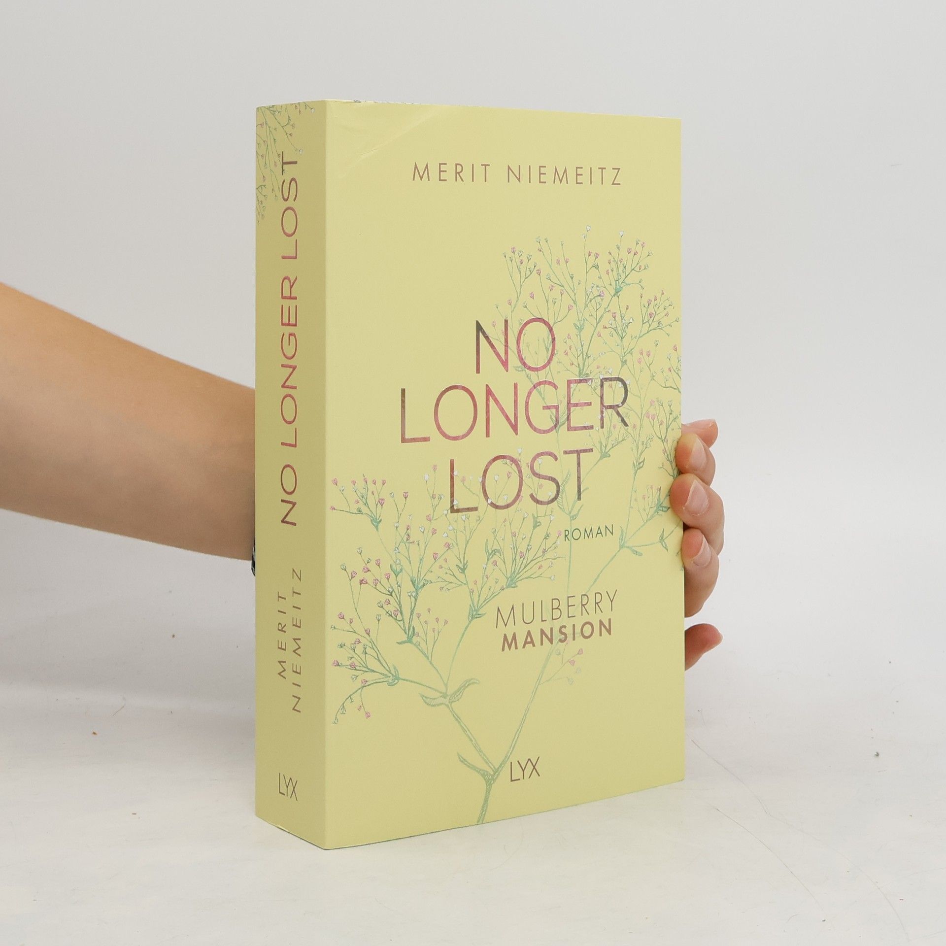 Merit Niemeitz No Longer Lost