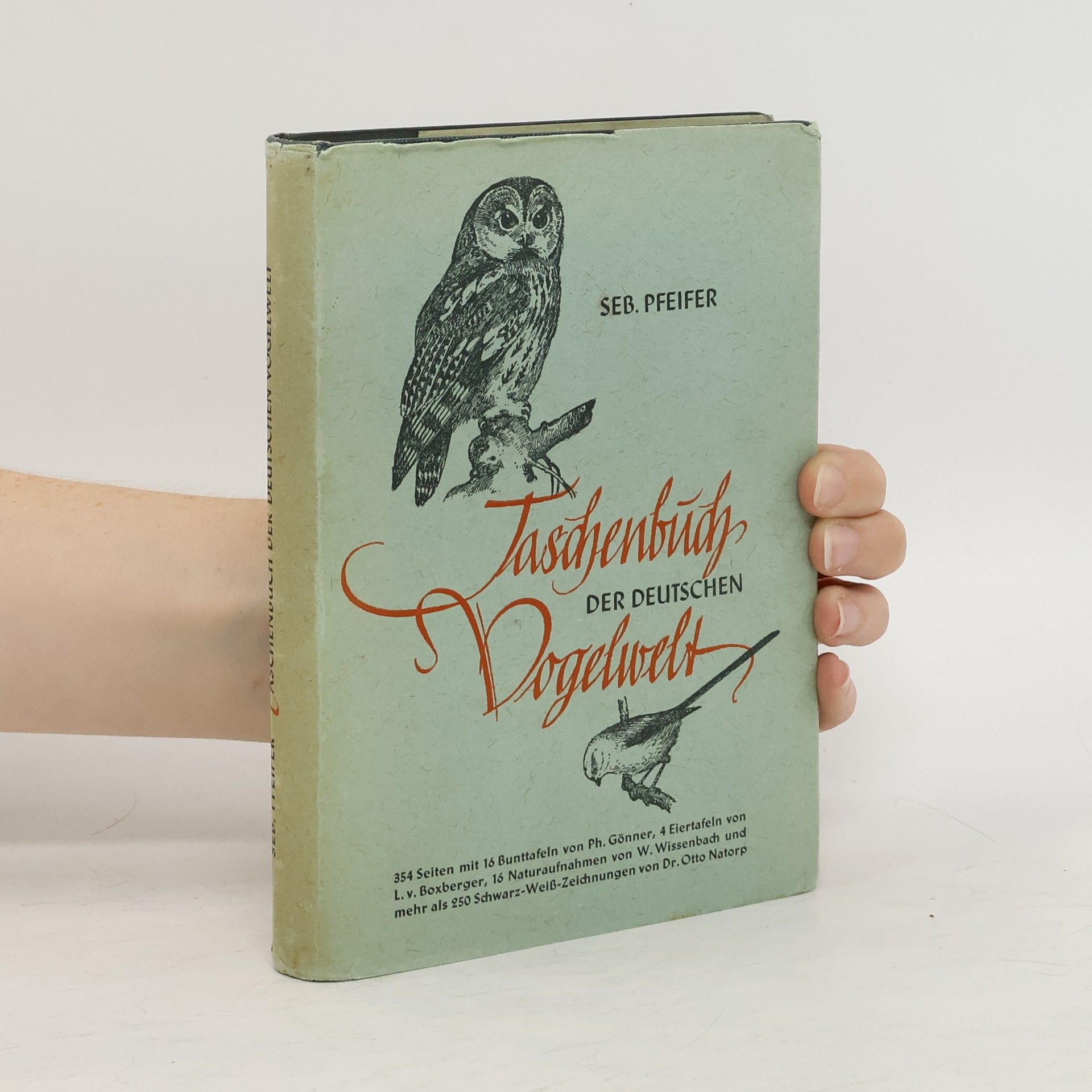 Taschenbuch der deutschen Vogelwelt