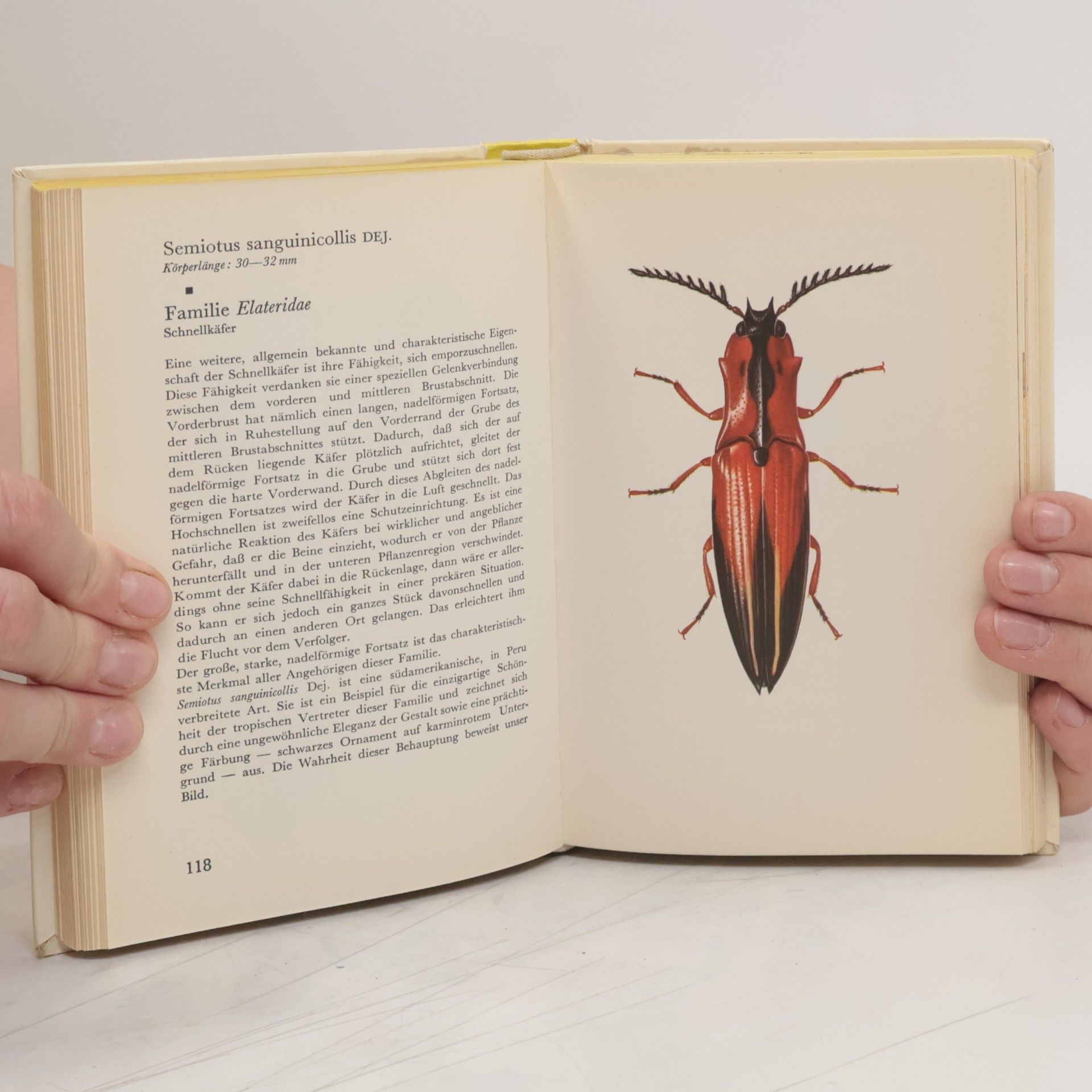 Josef R. Winkler Taschenatlas der Käfer