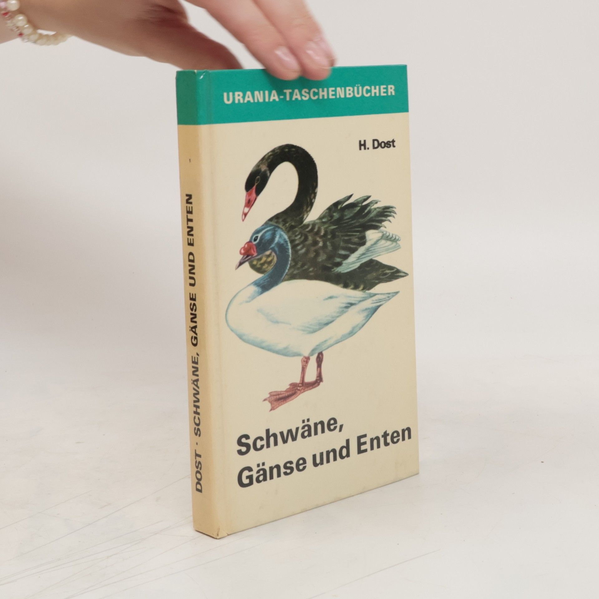 H. Dost Schwäne, Gänse und Enten