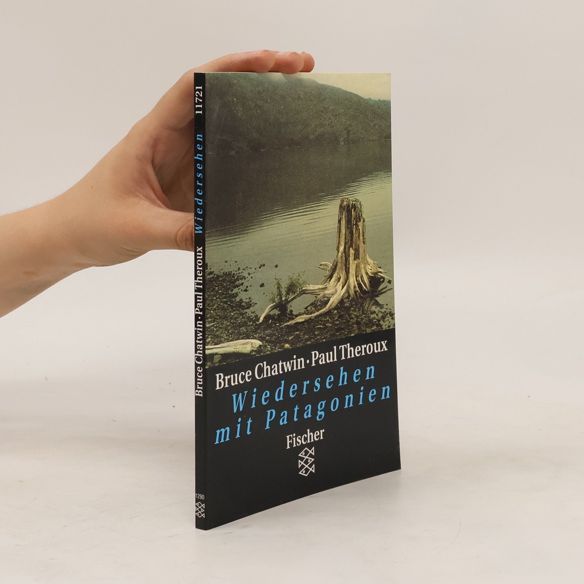 Bruce Chatwin Wiedersehen mit Patagonien