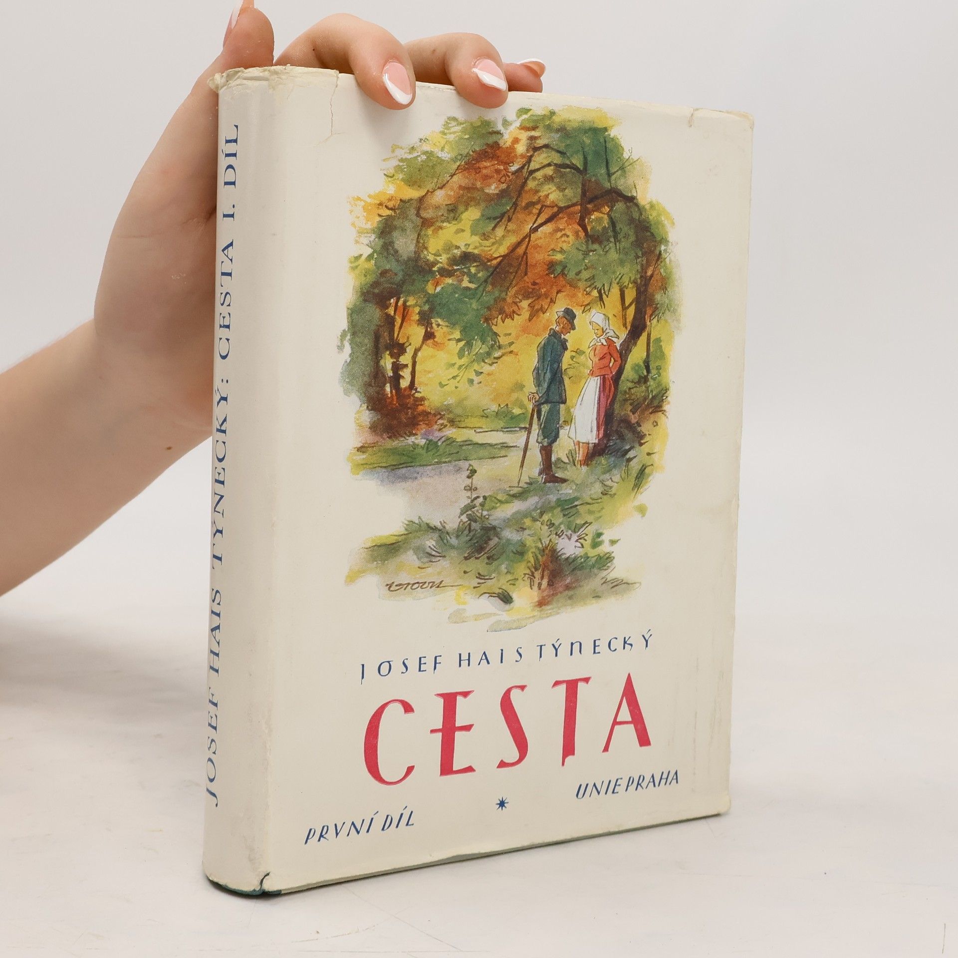 Josef Hais Týnecký Cesta I.
