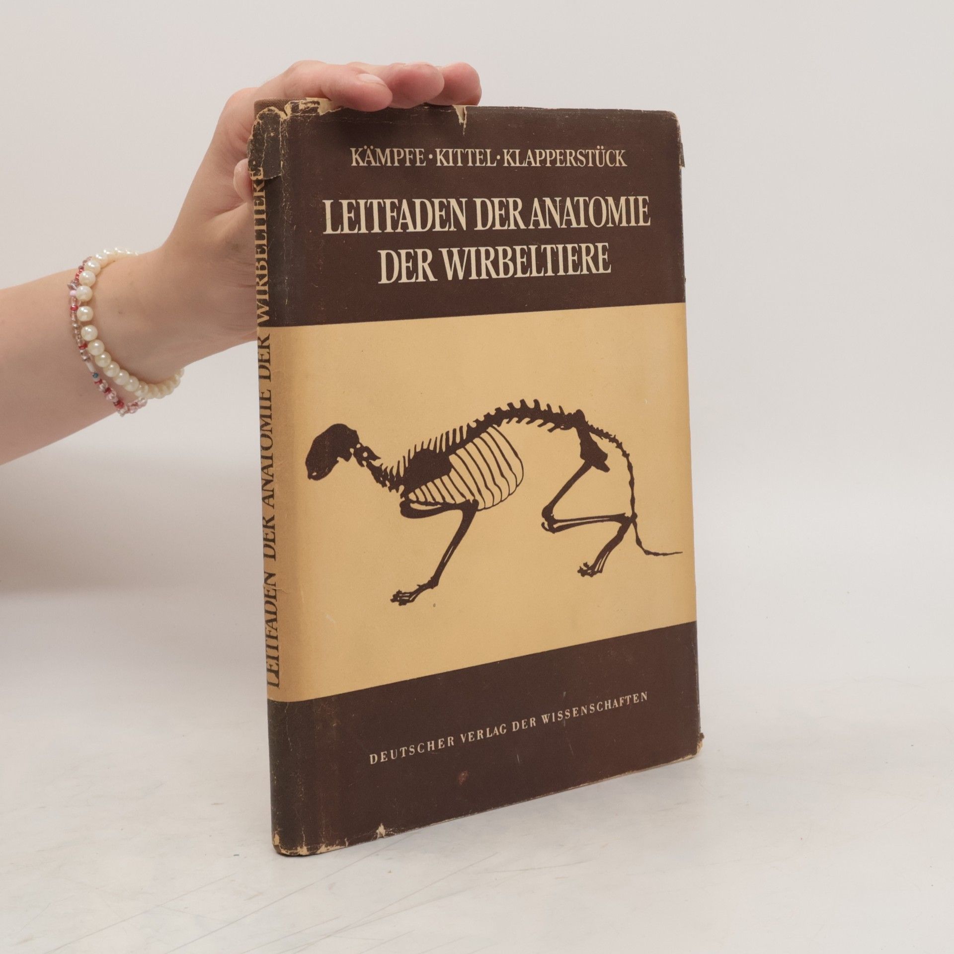 Lothar Kämpfe Leitfaden der Anatomie der Wirbeltiere