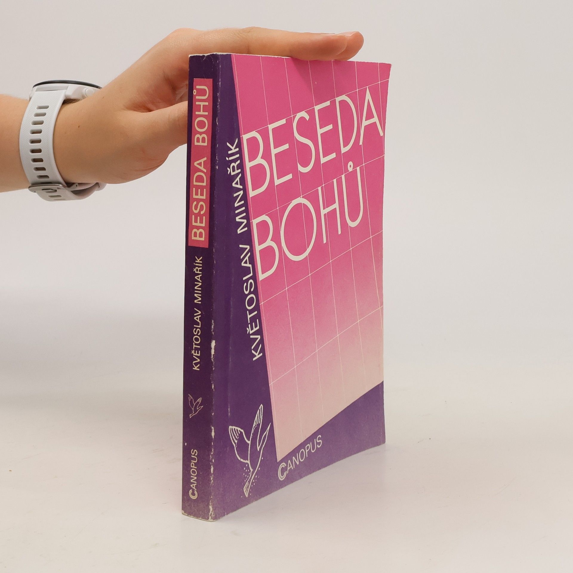 Květoslav Minařík Beseda bohů