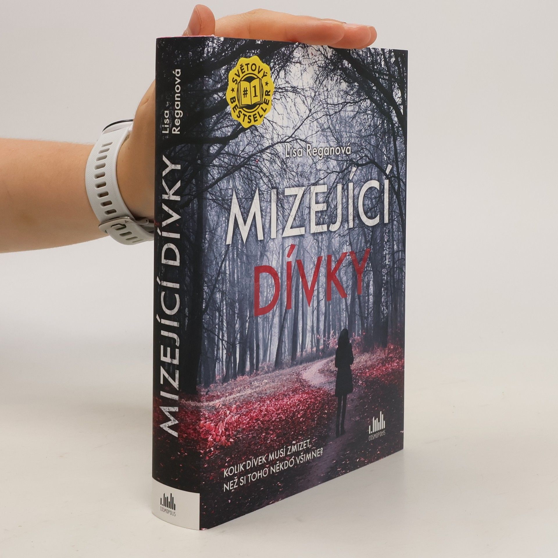 Lisa Regan Mizející dívky