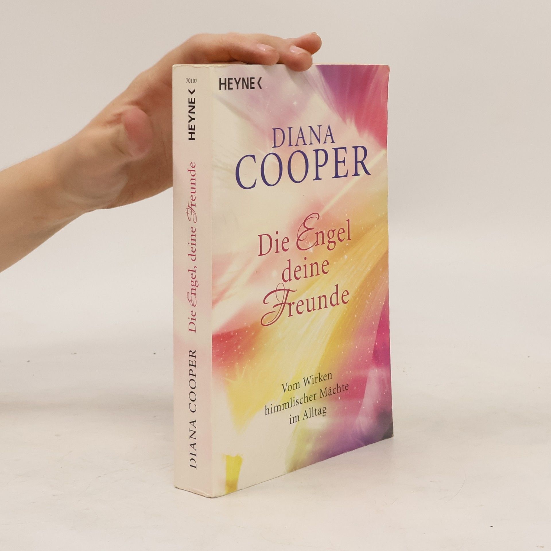 Diana Cooper Die Engel, deine Freunde