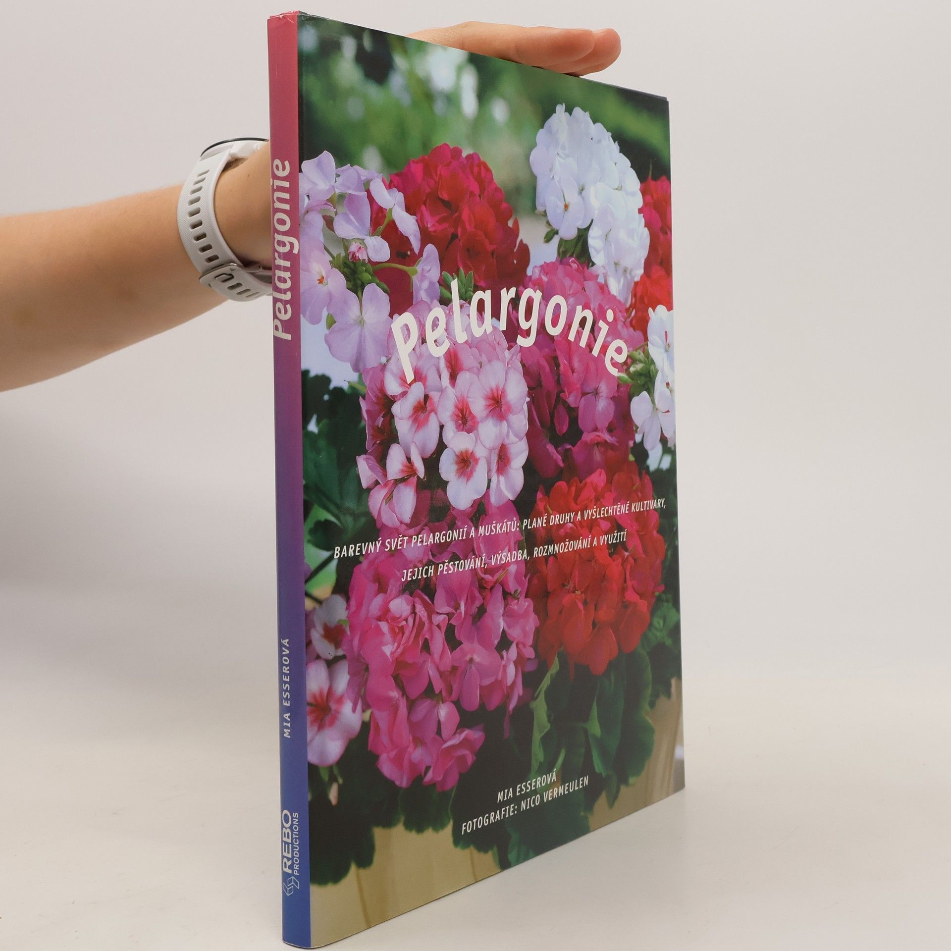 Mia Esser Pelargonie