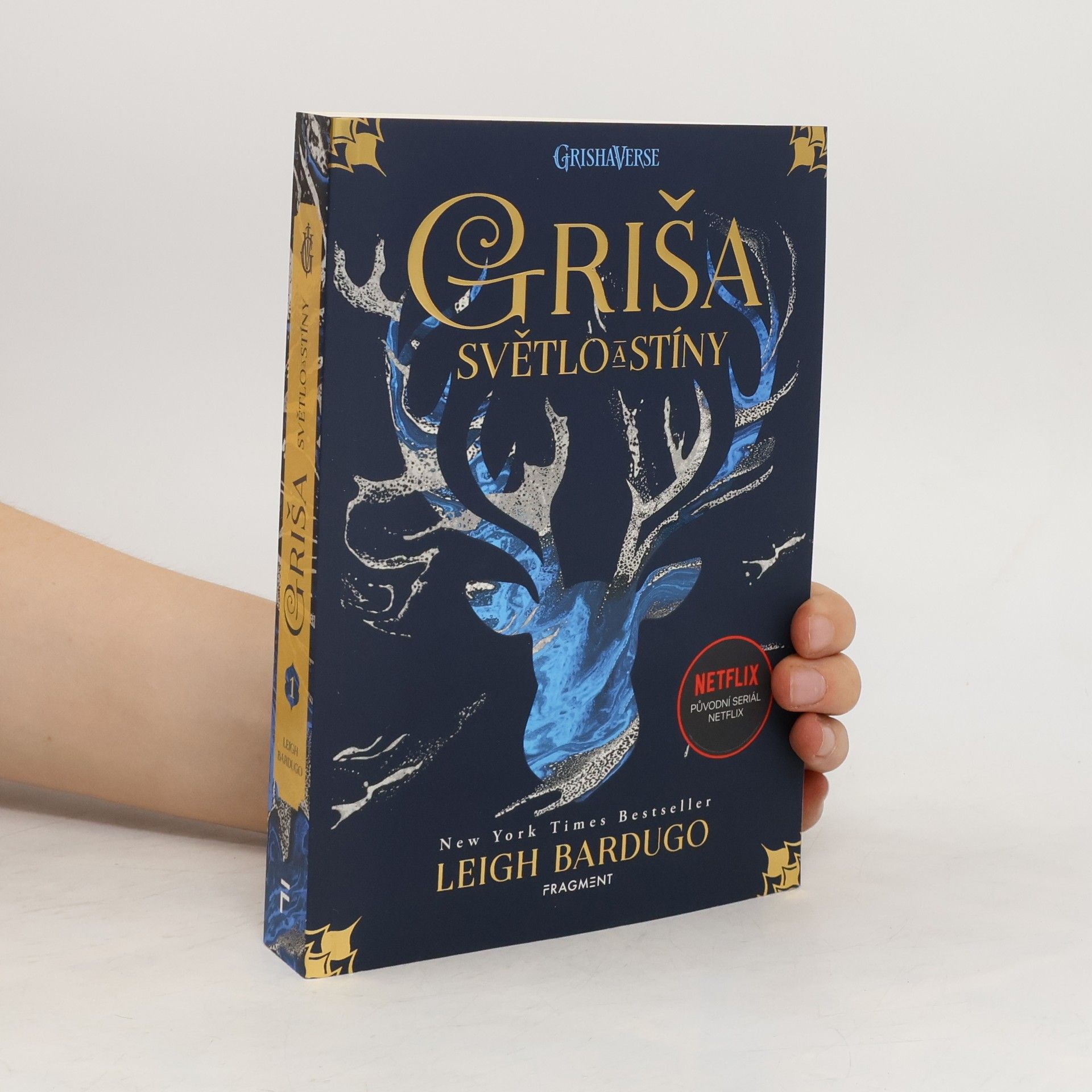 Leigh Bardugo Světlo a stíny
