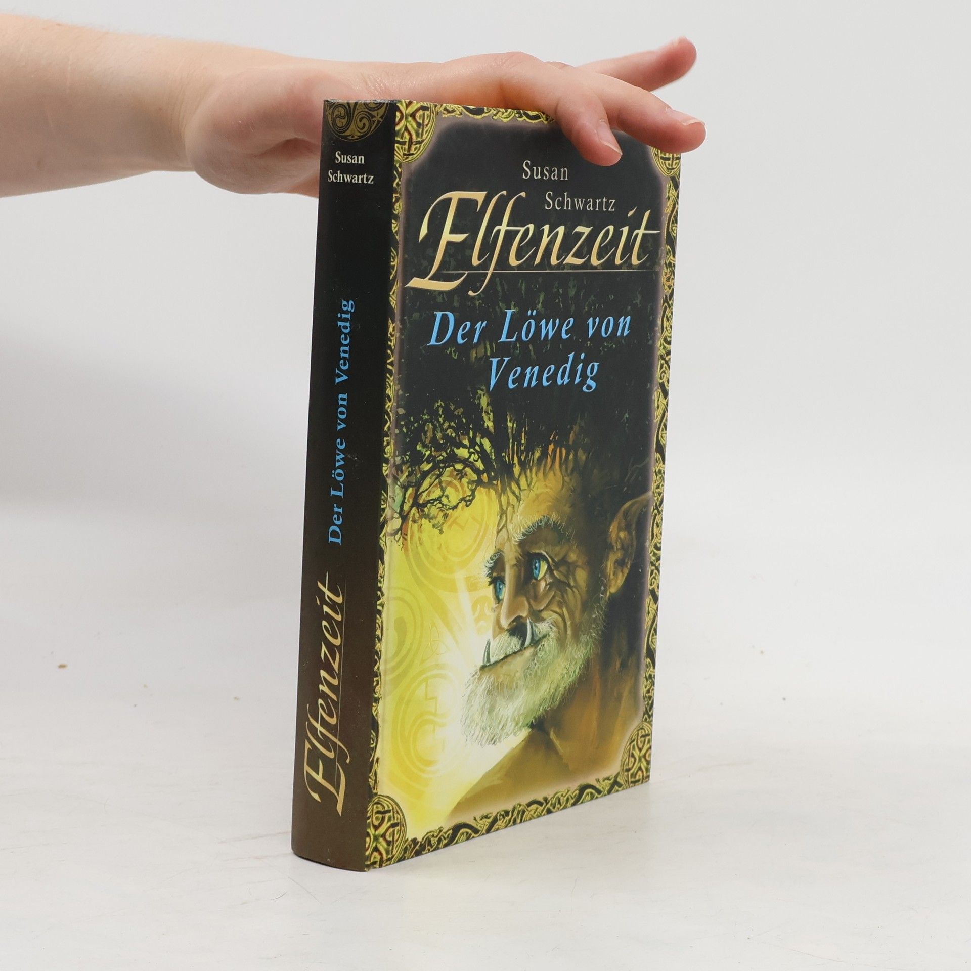 Susan Schwartz Der Löwe von Venedig