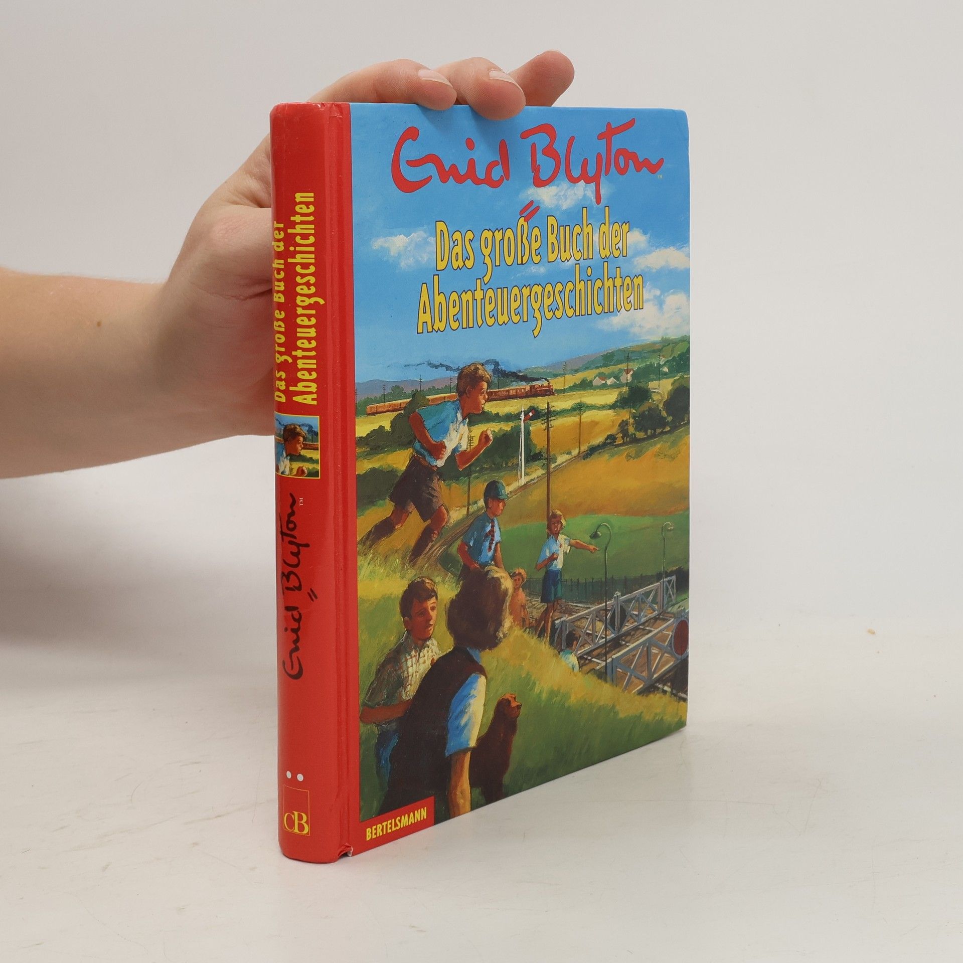 Enid Blyton Das große Buch der Abenteuergeschichten