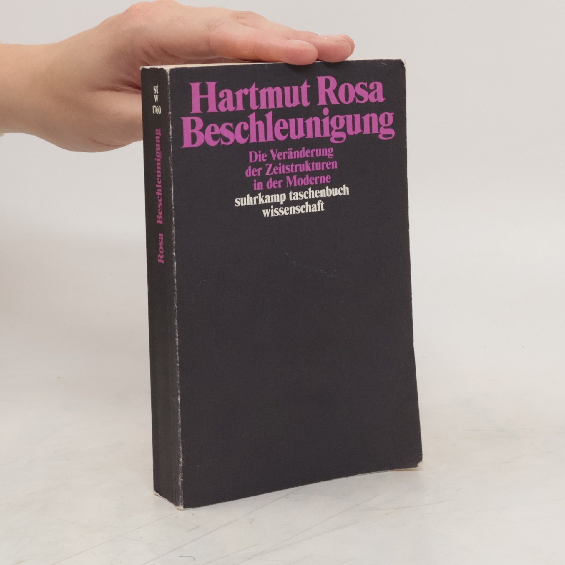 Hartmut Rosa Beschleunigung