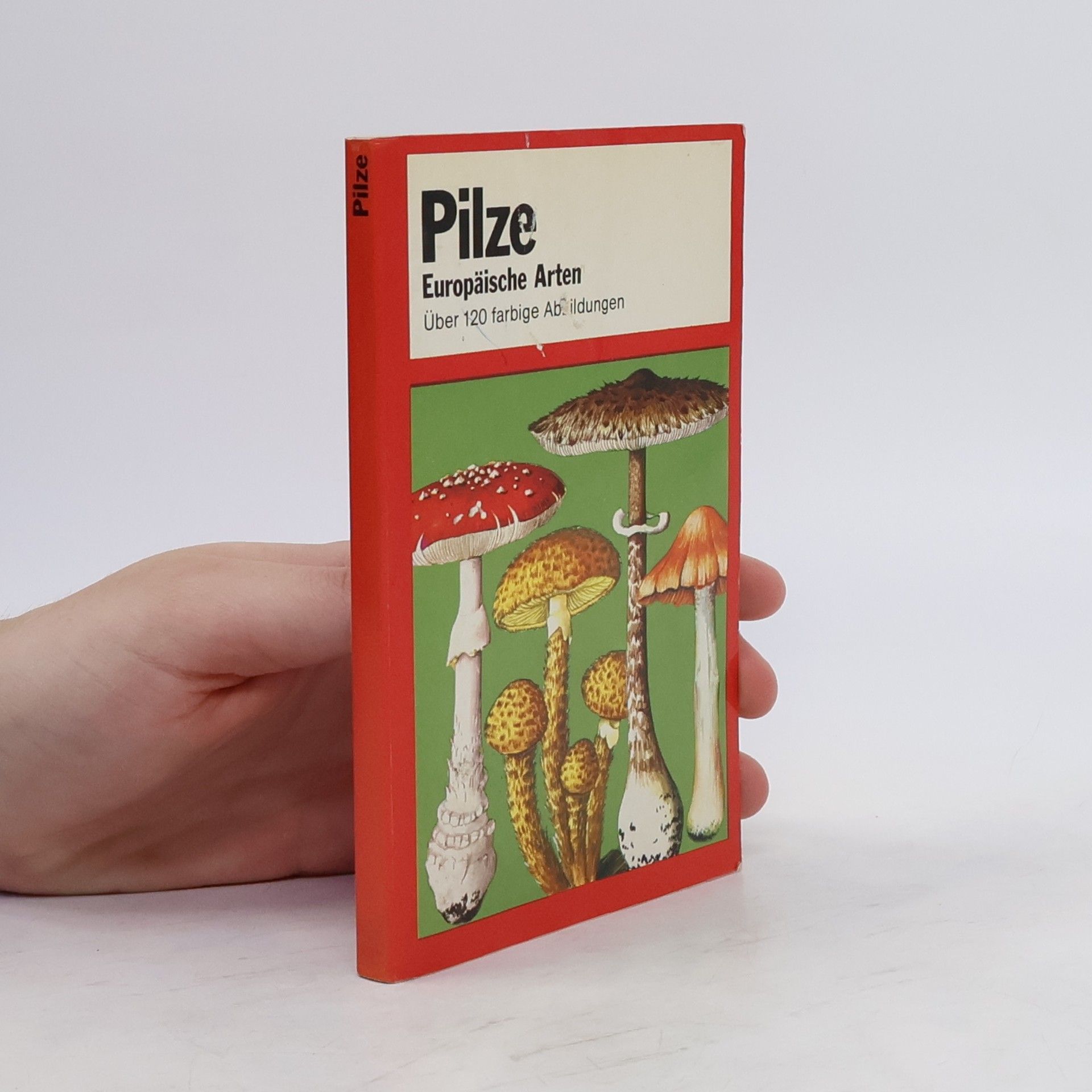 Pierre Montarnal Pilze