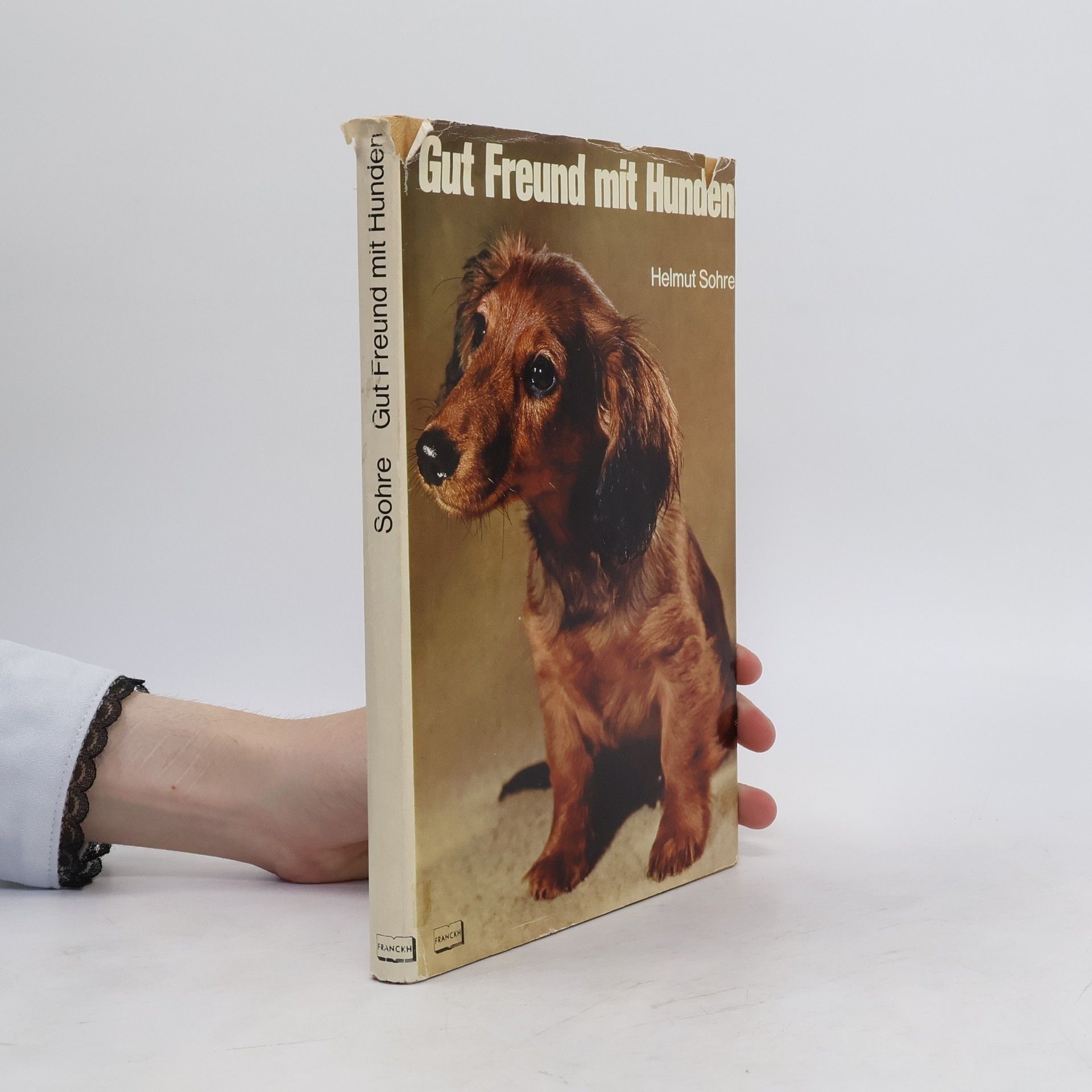 Helmut Sohre Gut Freund mit Hunden