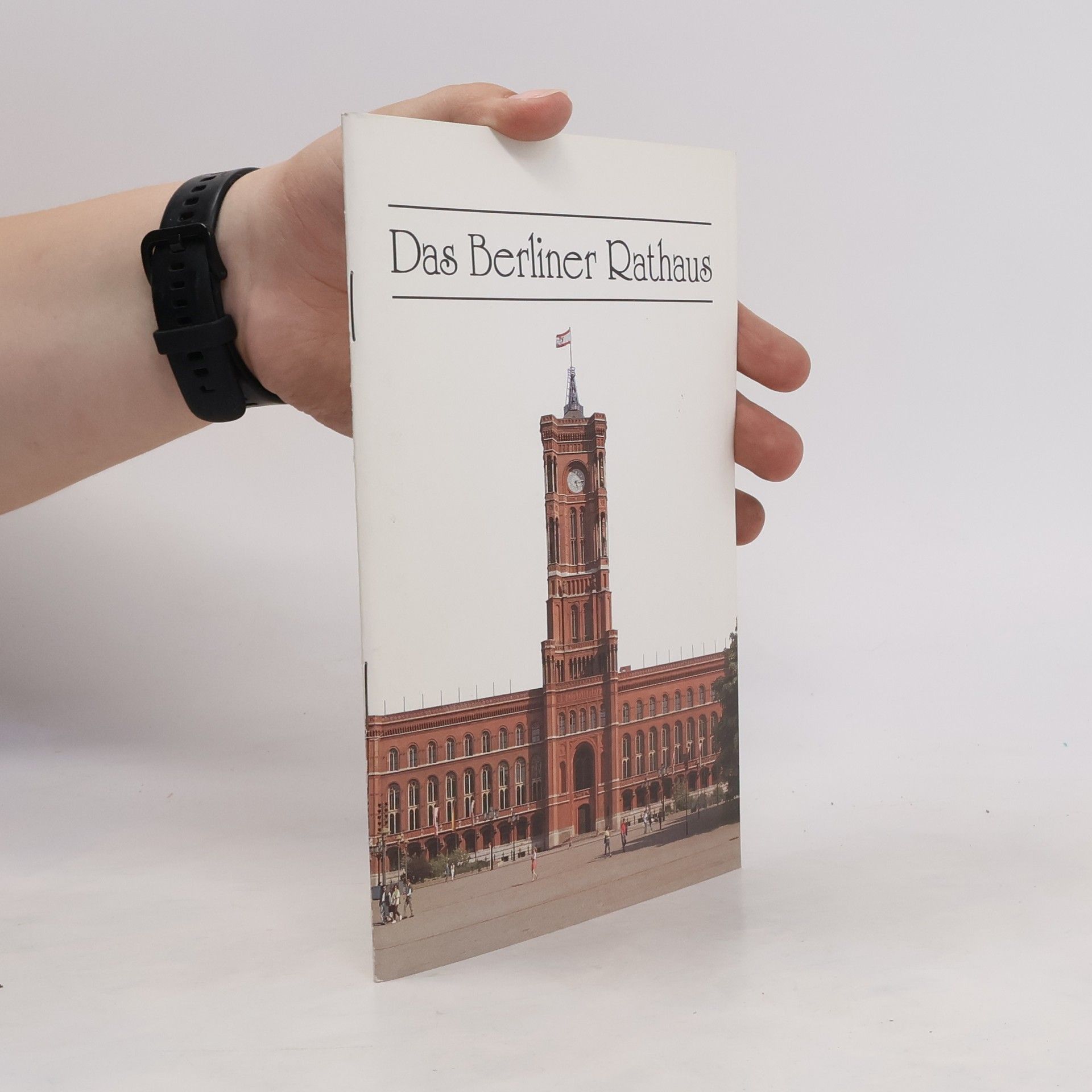 Dieter Flämig Das Berliner Rathaus