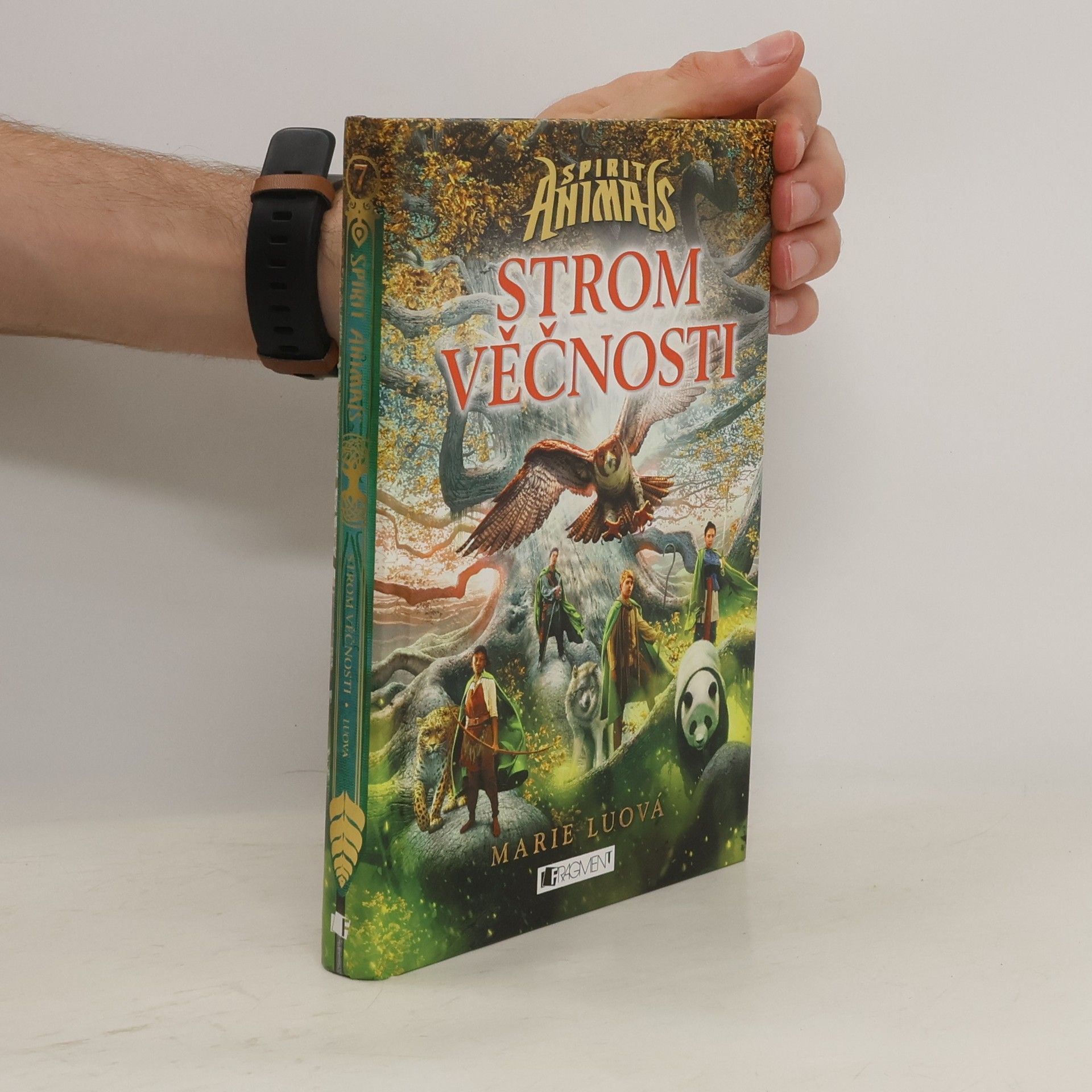 Marie Lu Strom věčnosti