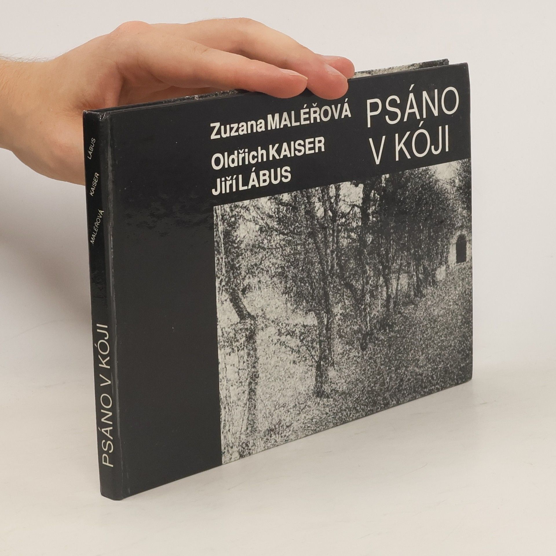 Zuzana Maléřová Psáno v kóji