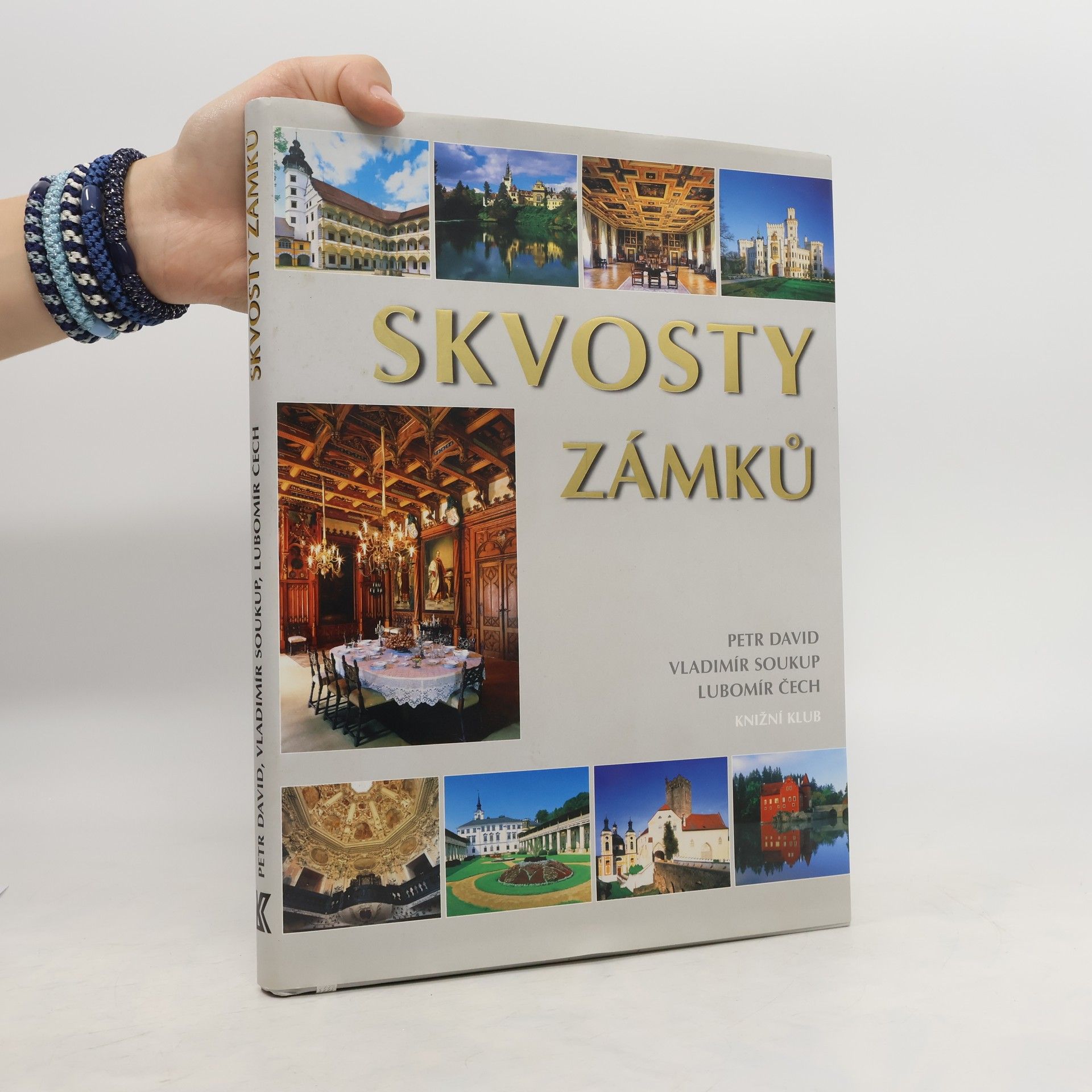Peter David Skvosty zámků