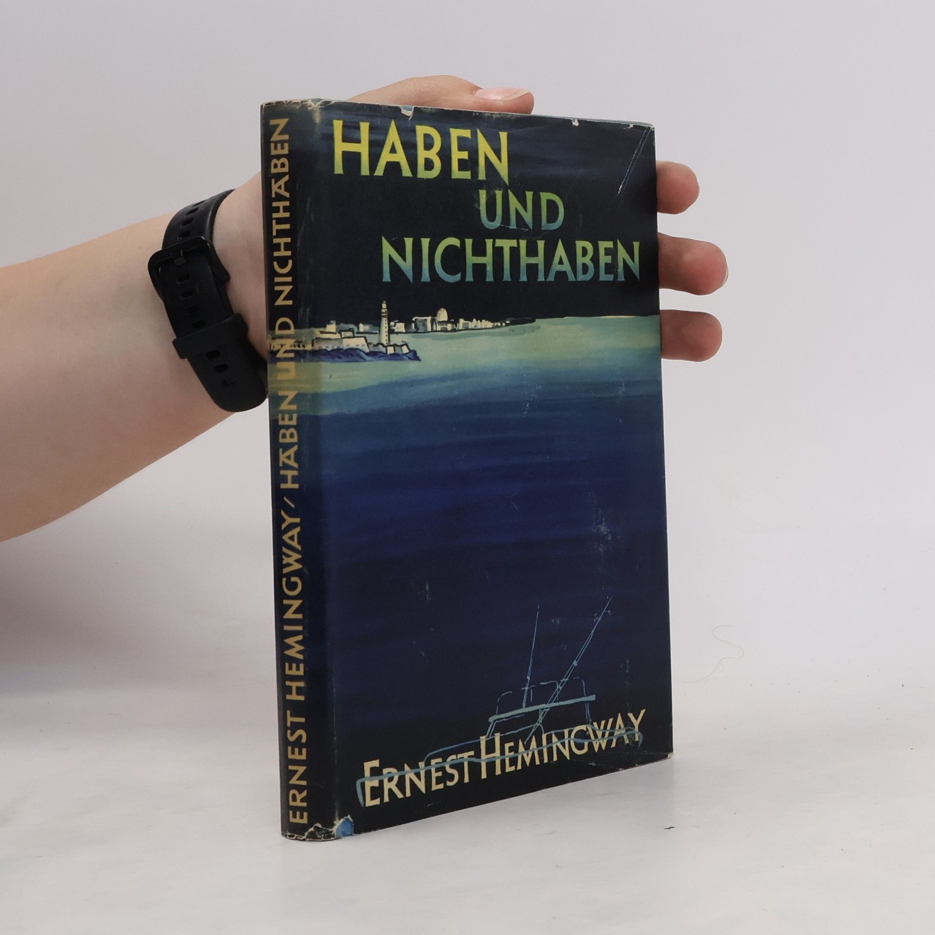 Ernest Hemingway Haben und Nichthaben
