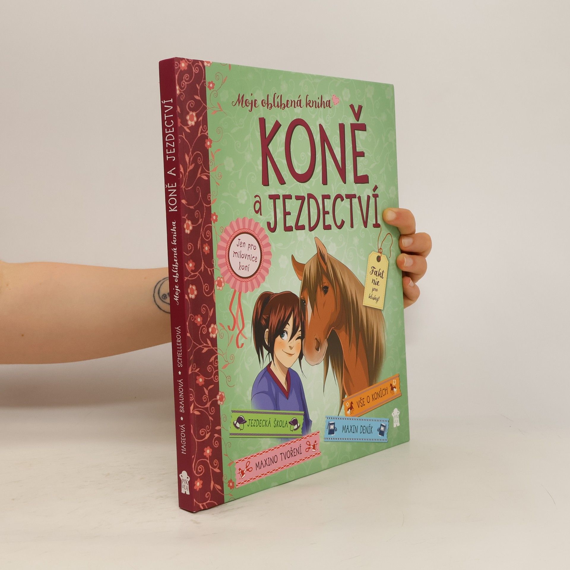 Gudrun Braun Koně a jezdectví - Moje oblíbená kniha