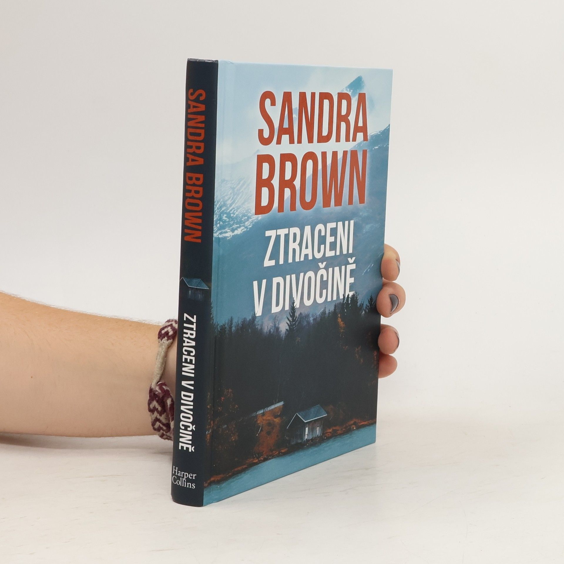 Sandra Brown Ztraceni v divočině
