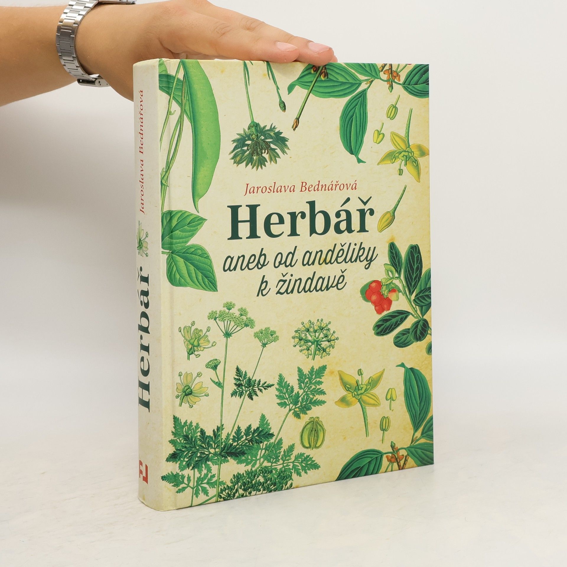 Jaroslava Bednářová Herbář, aneb, Od anděliky k žindavě