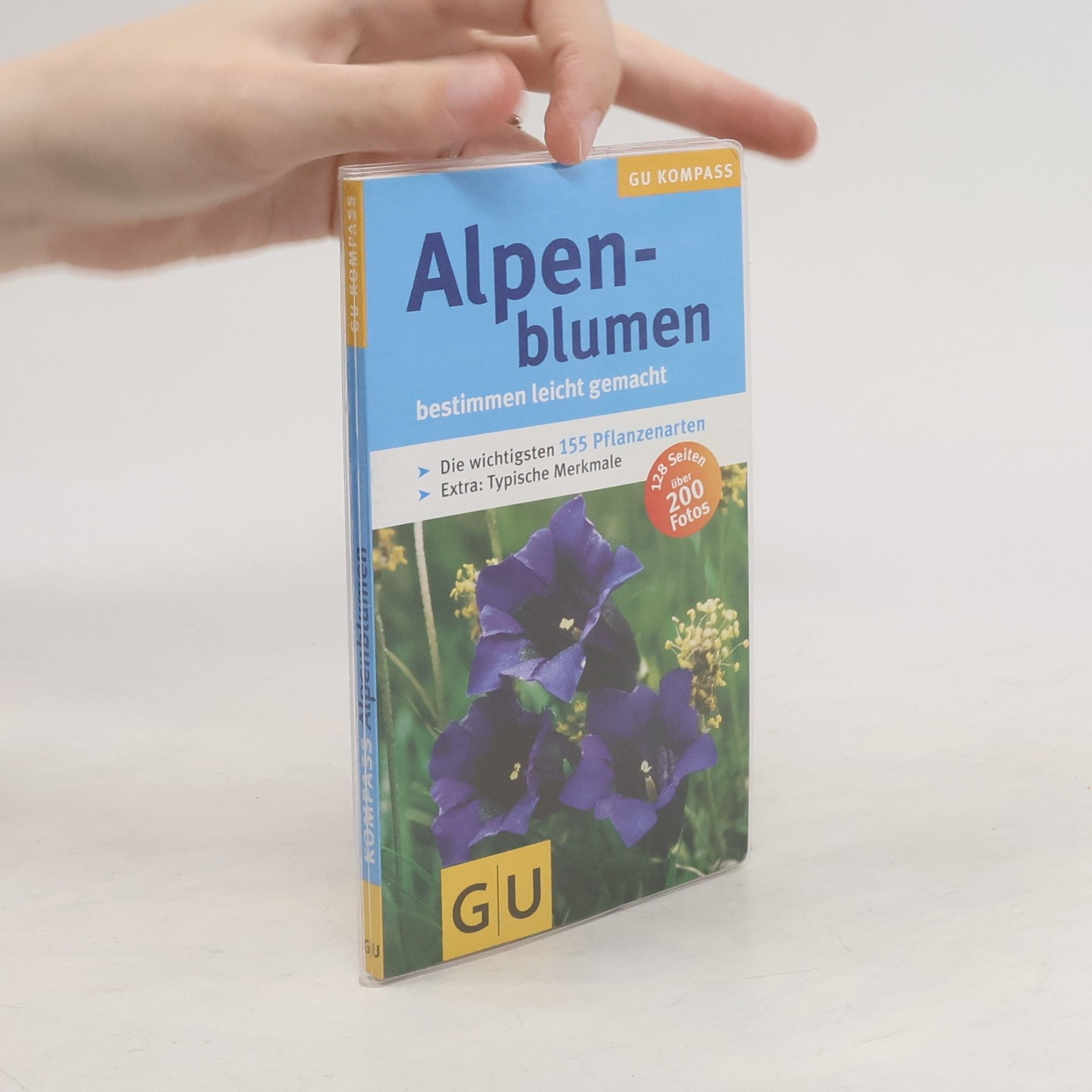 Helga Hofmann-Sieber Alpenblumen