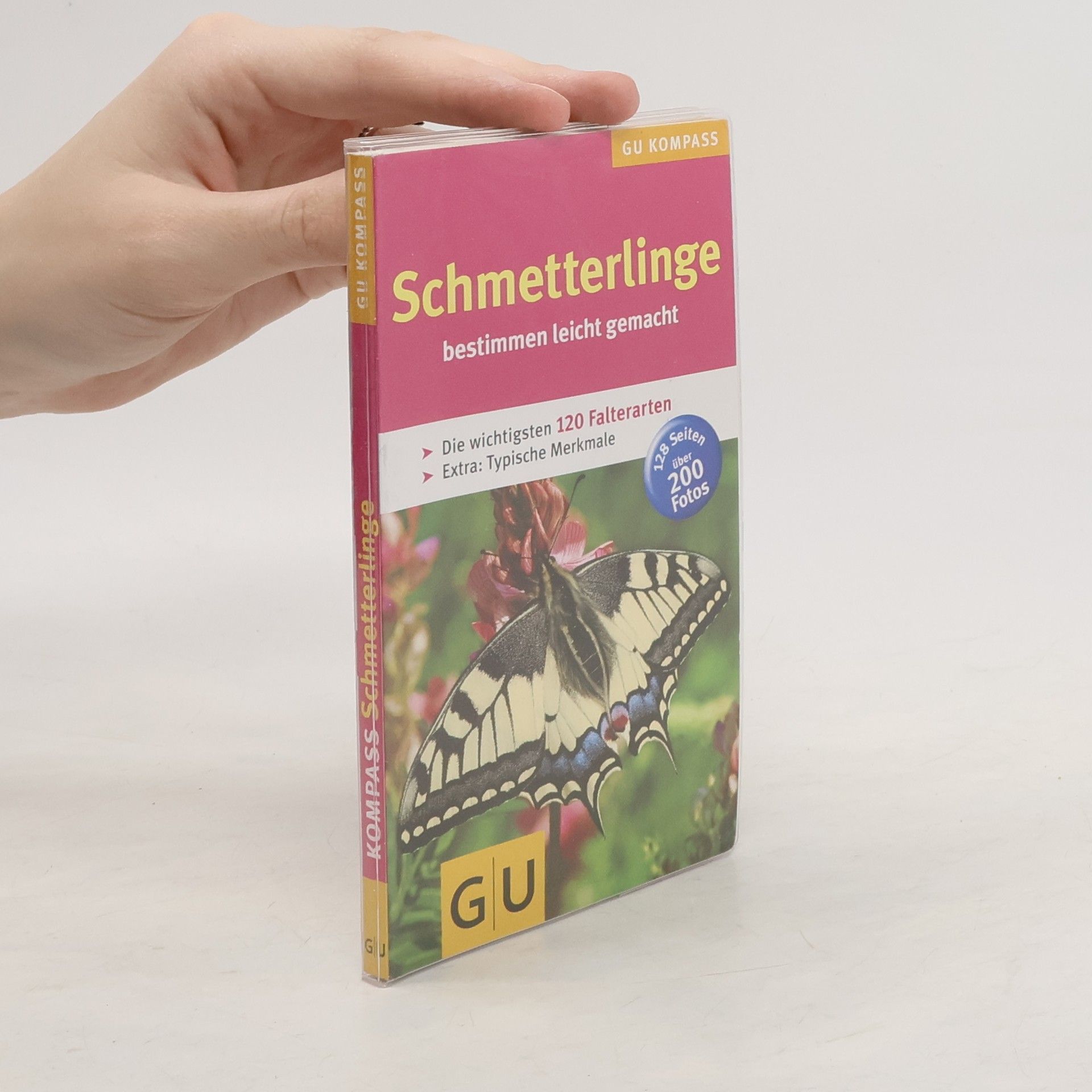 Helga Hofmann-Sieber Schmetterlinge