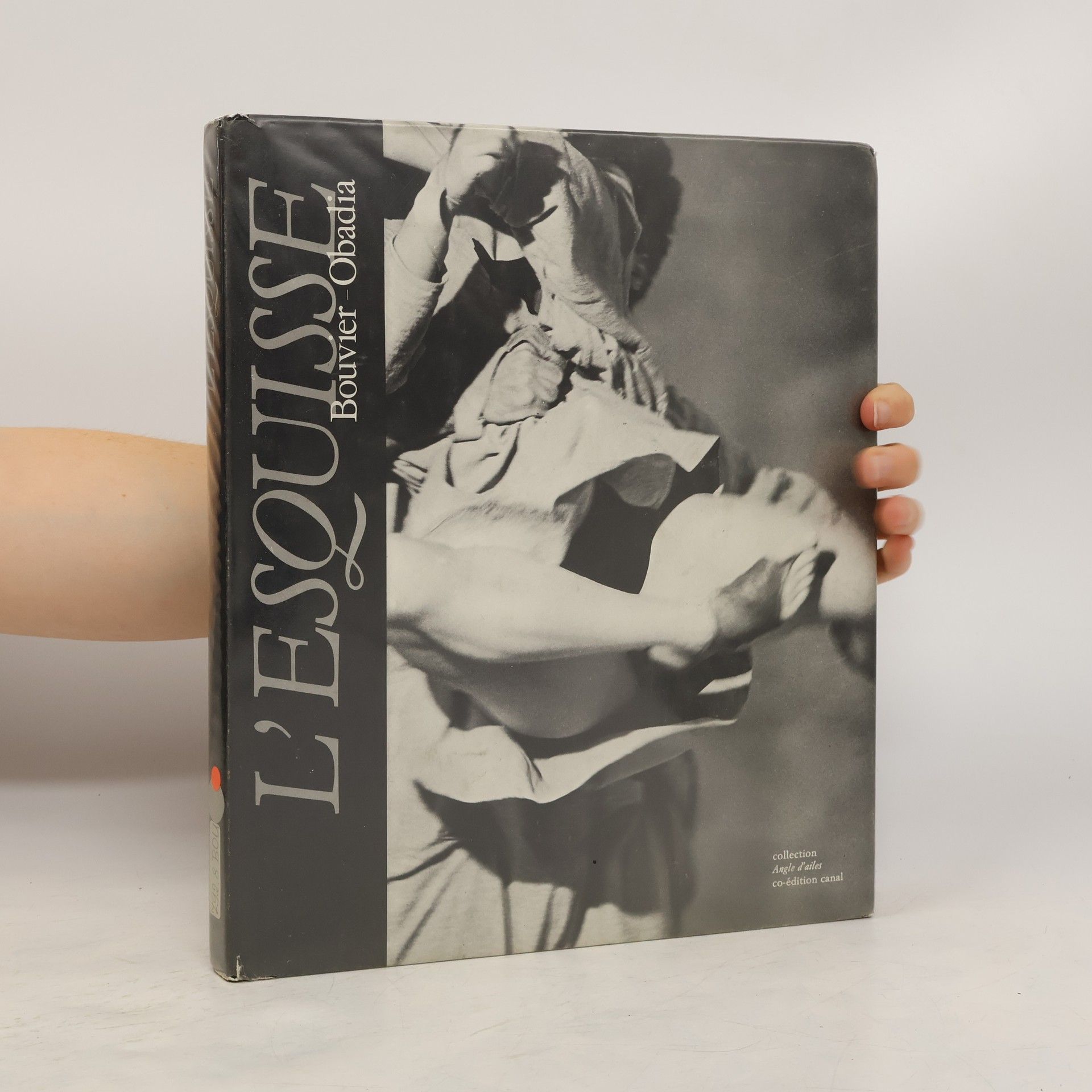 Joelle Bouvier Compagnie L'esquisse