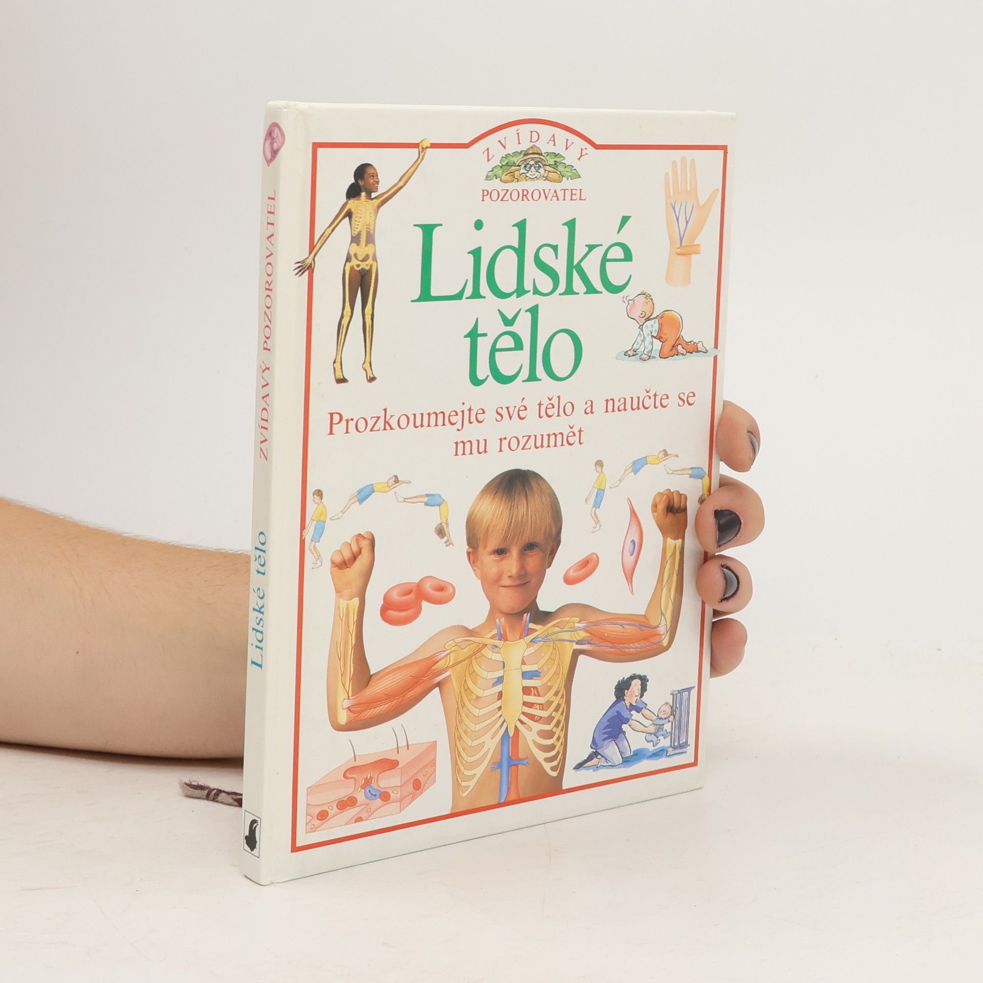Steve Parker Zvídavý pozorovatel: Lidské tělo