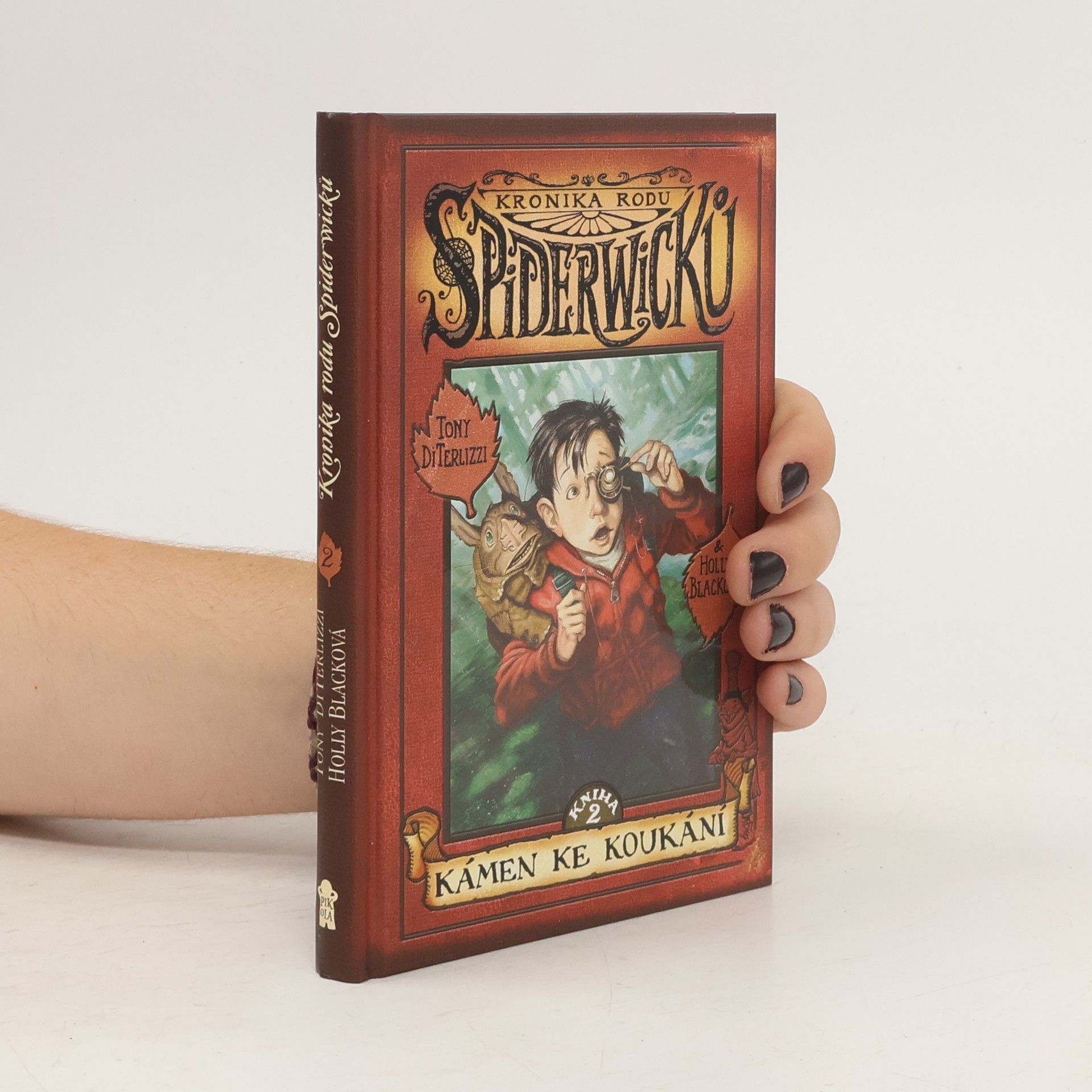 Jana Jašová Kronika rodu Spiderwicků. Kámen ke koukání 2