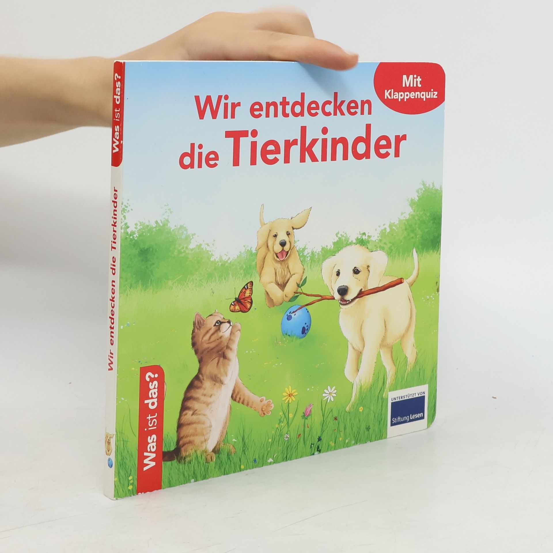 Autorenkollektiv Wir entdecken die Tierkinder