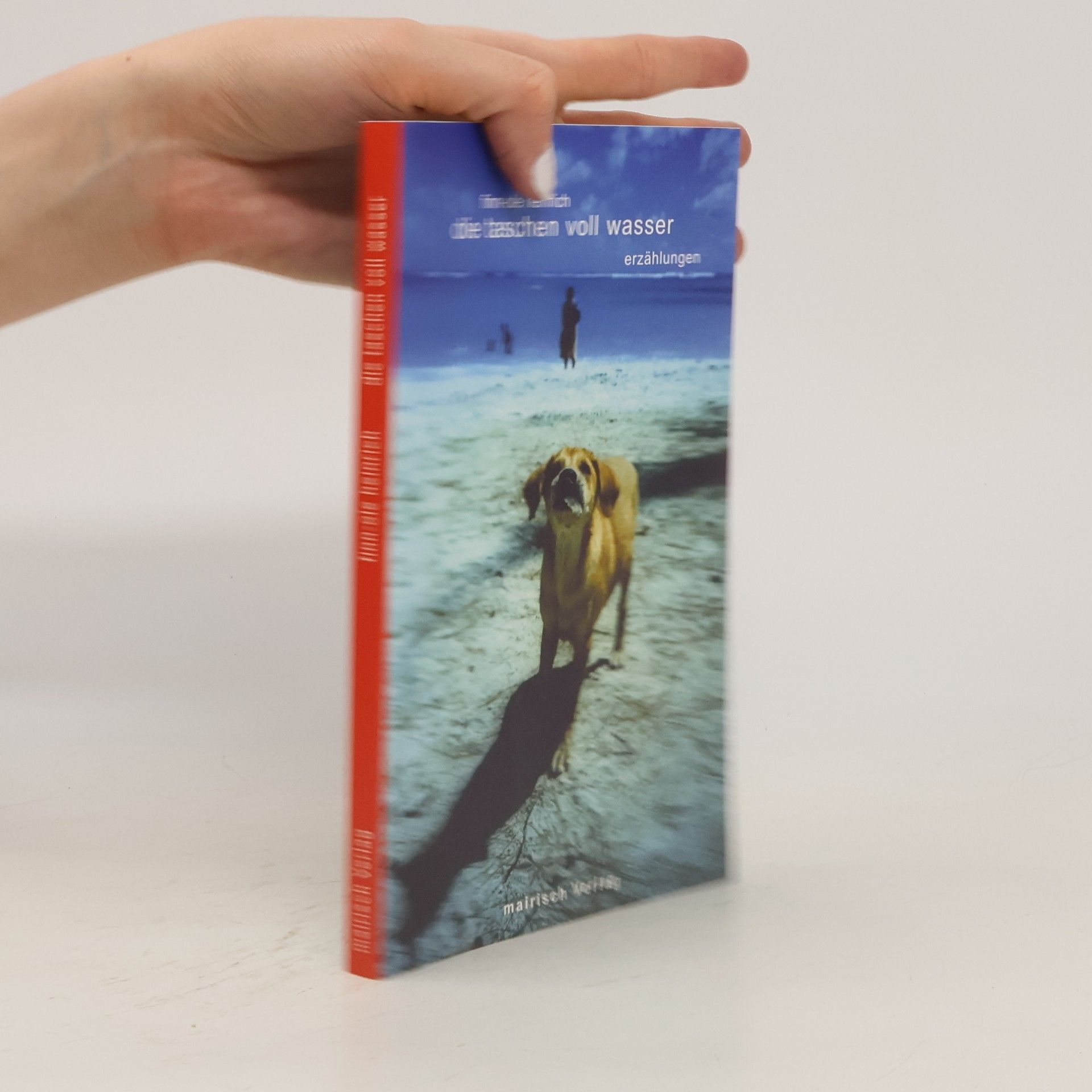 Finn-Ole Heinrich Die Taschen voll Wasser