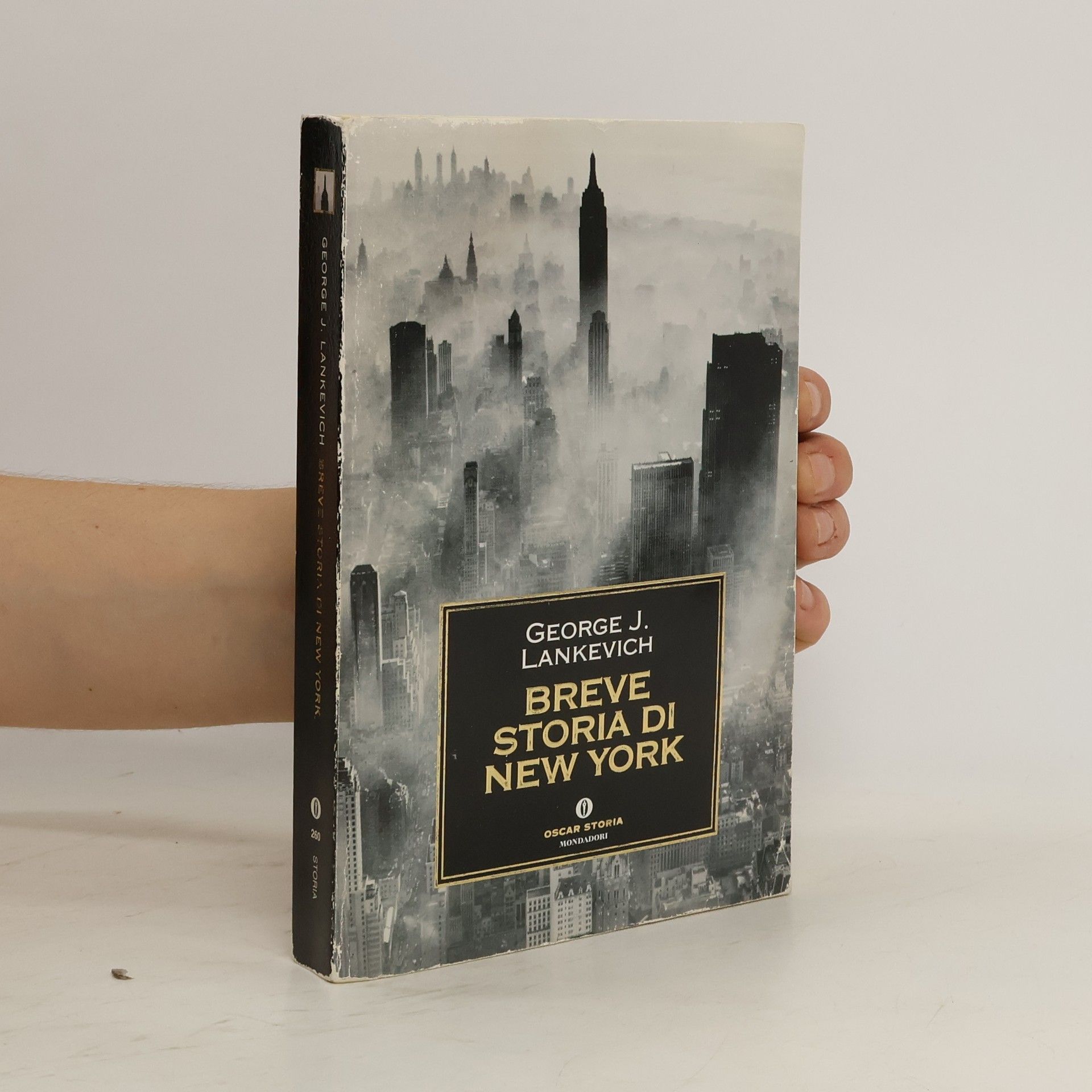 George J. Lankevich Breve storia di New York