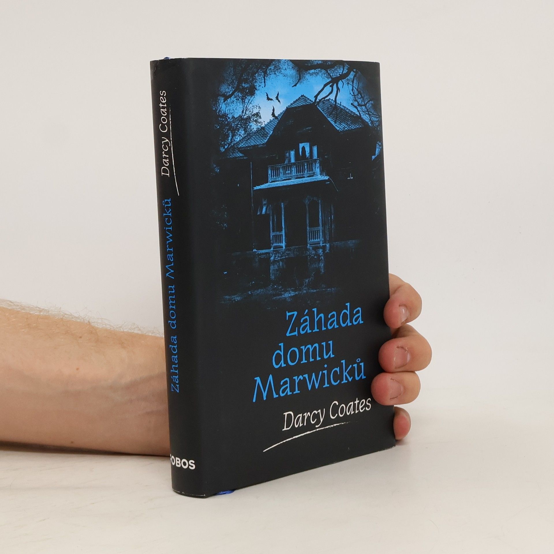Darcy Coates Záhada domu Marwicků