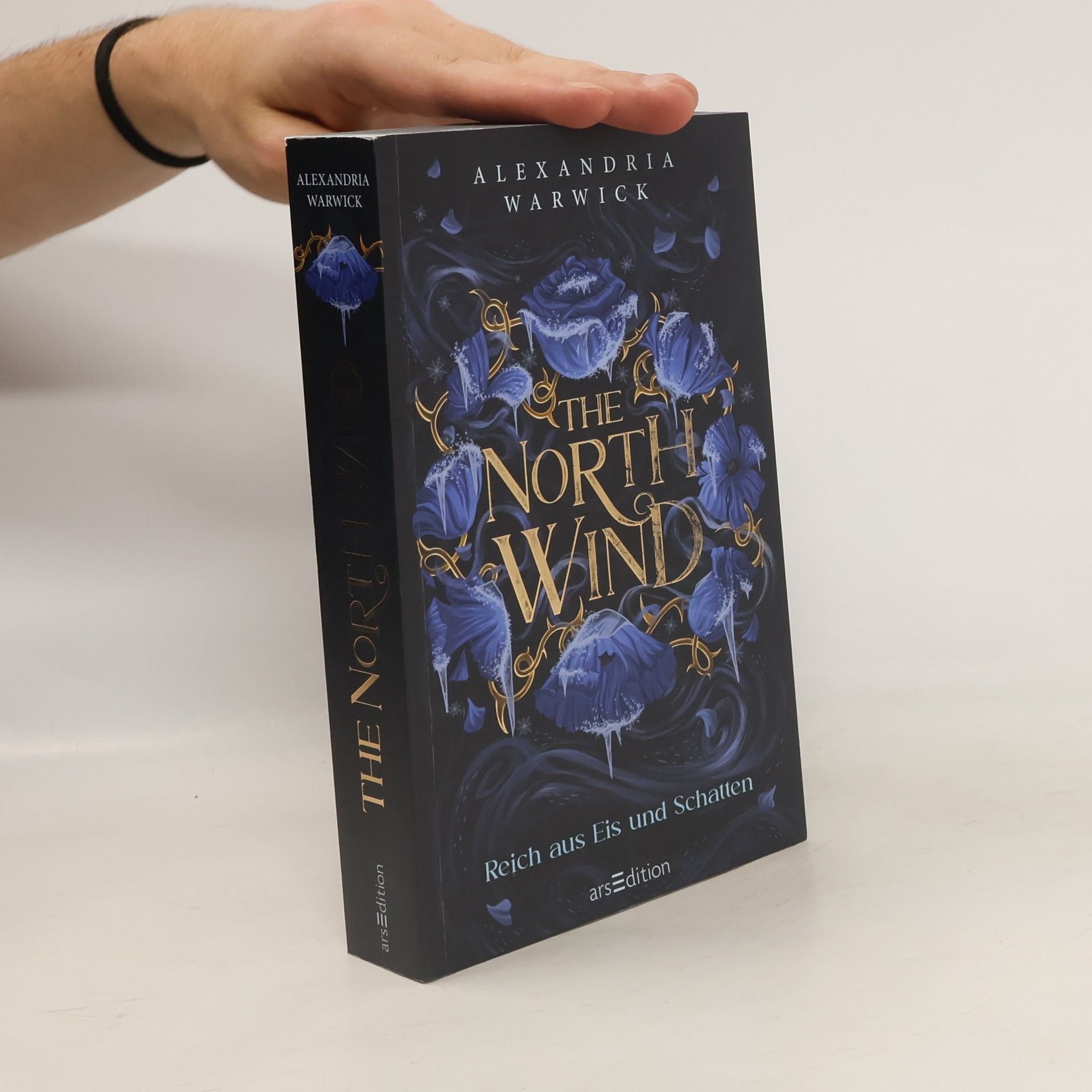 Alexandria Warwick The North Wind - Reich aus Eis und Schatten