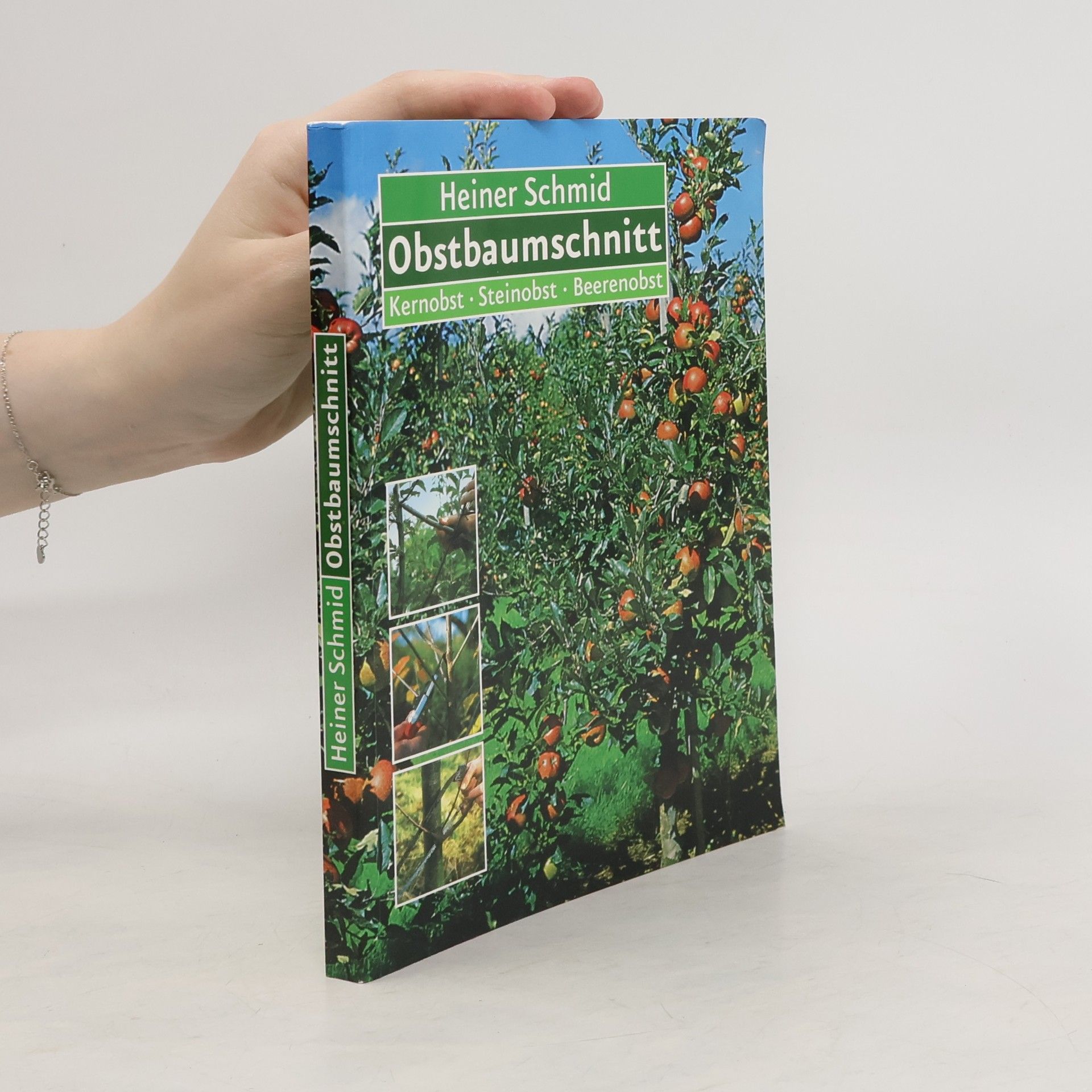 Heiner Schmid Obstbaumschnitt
