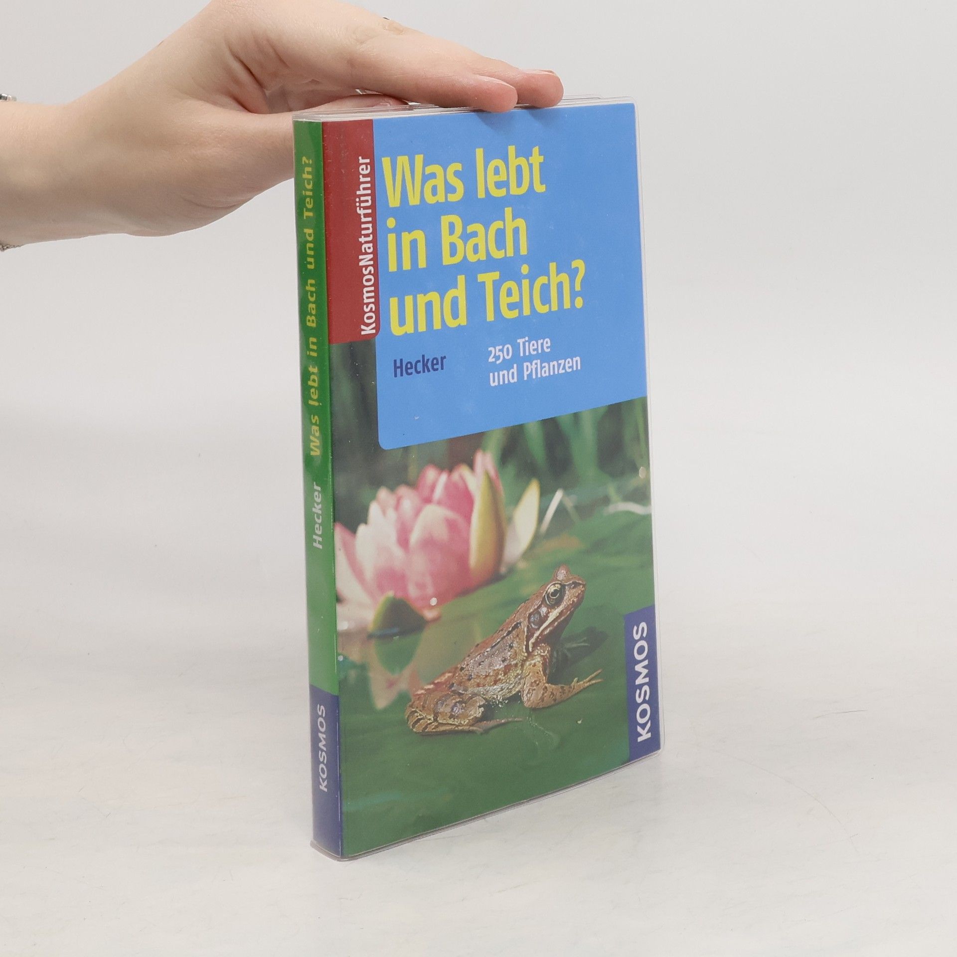Katrin Hecker Was lebt in Bach und Teich?