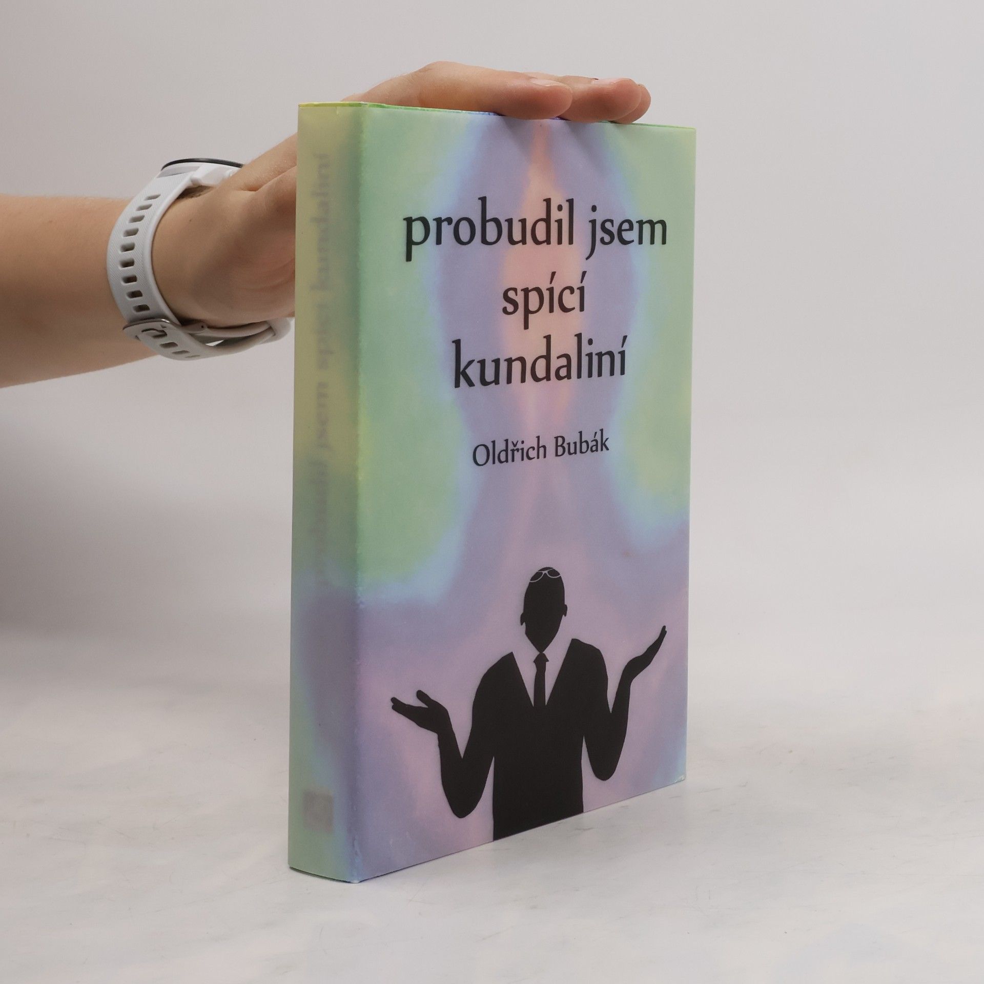 Oldřich Bubák Probudil jsem spící kundaliní