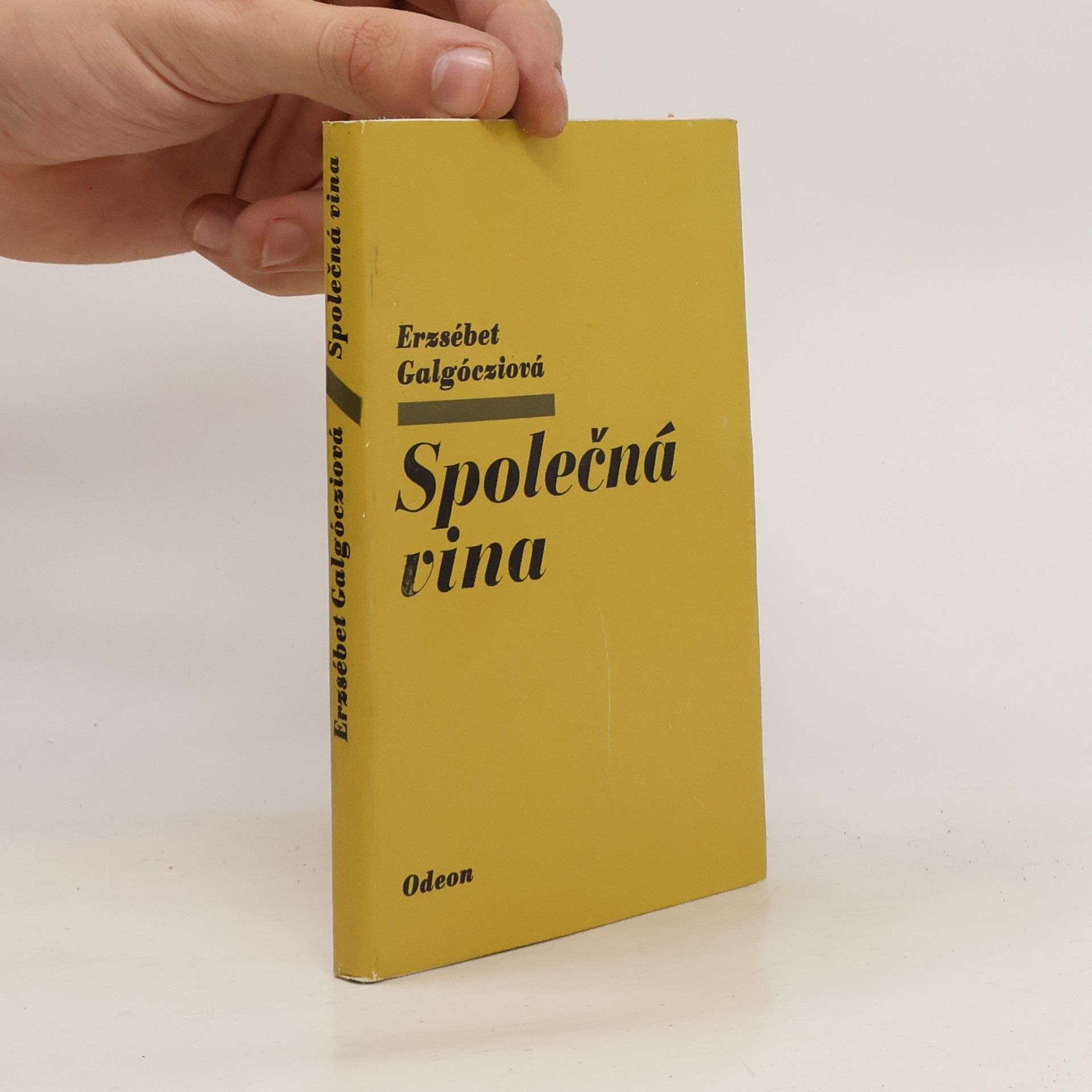 Erzsébet Galgóczi Společná vina