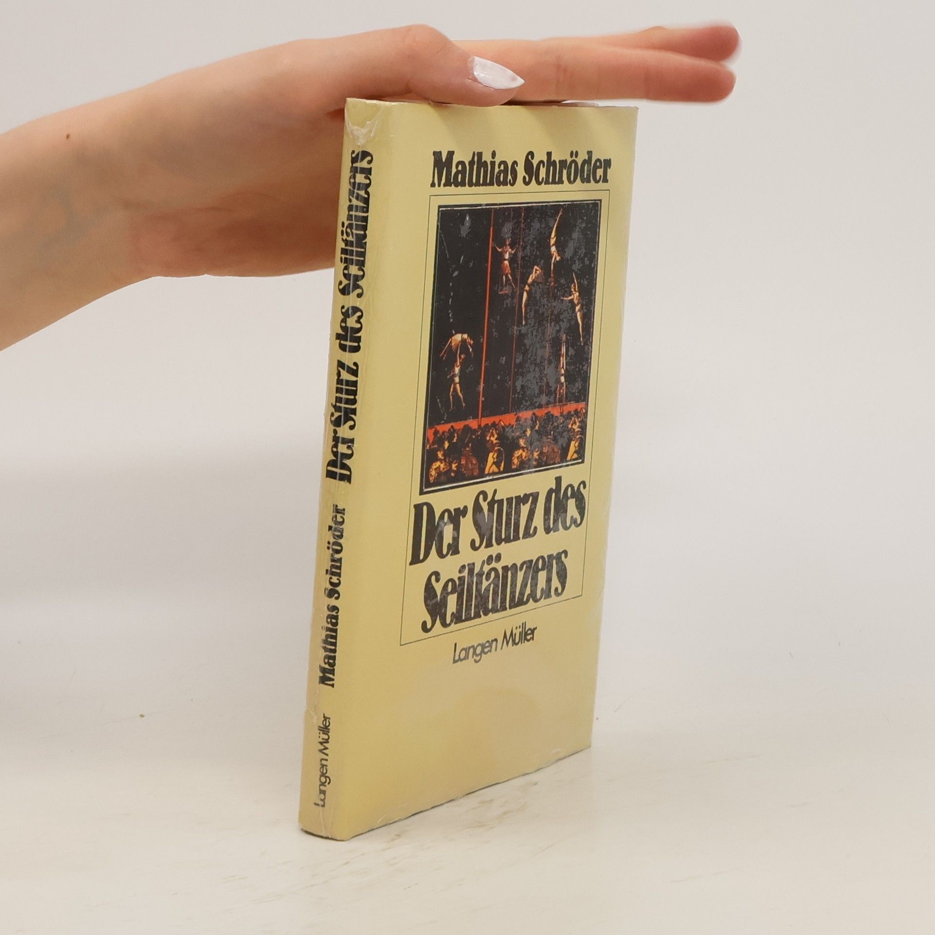 Mathias Schröder Der Sturz des Seiltänzers