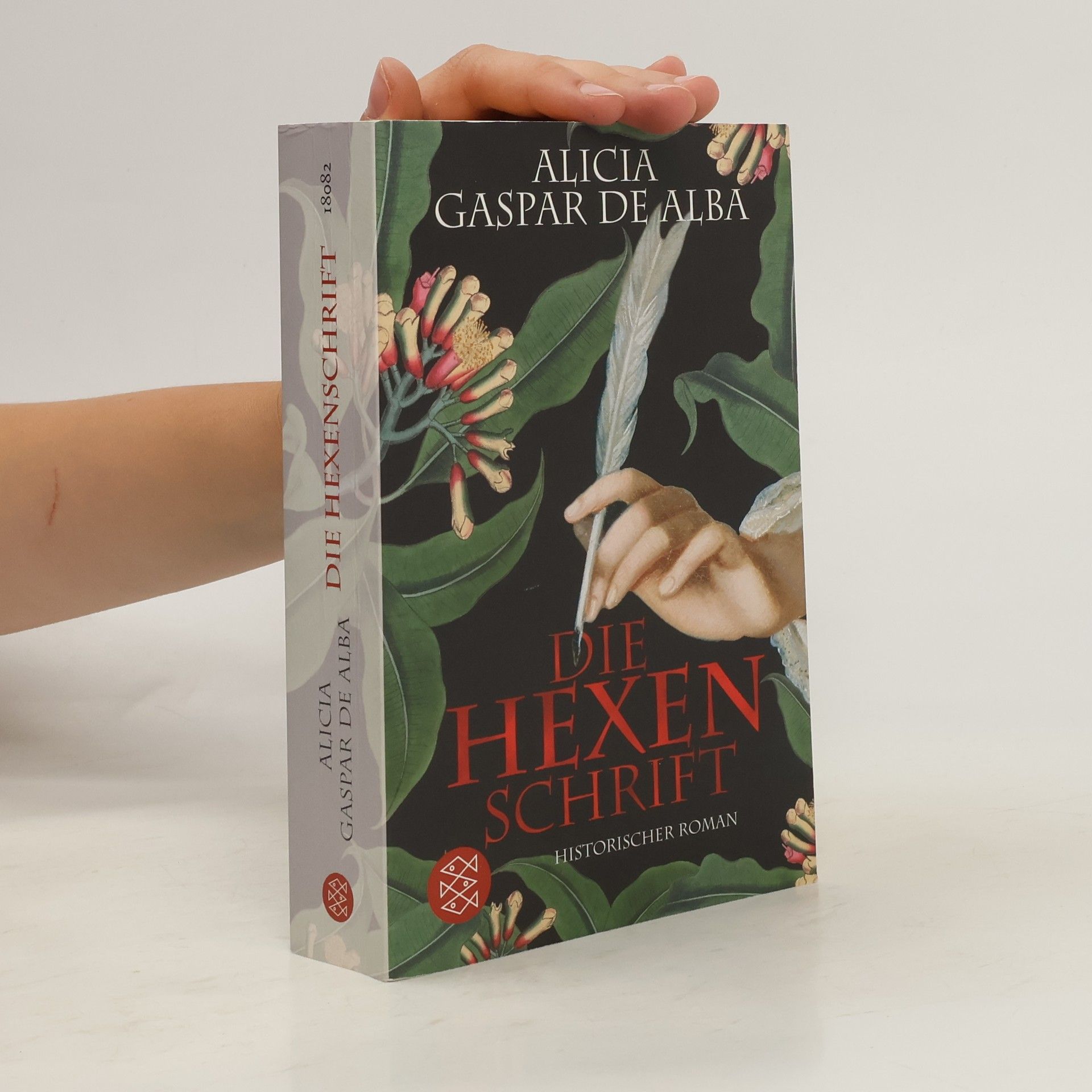 Alicia Gaspar de Alba Die Hexenschrift